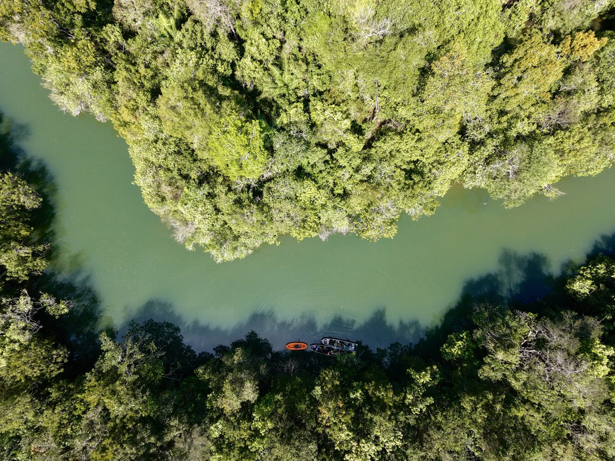 dji_fly_20260811_130416_0847_1786473239190_photo_beautify.jpg