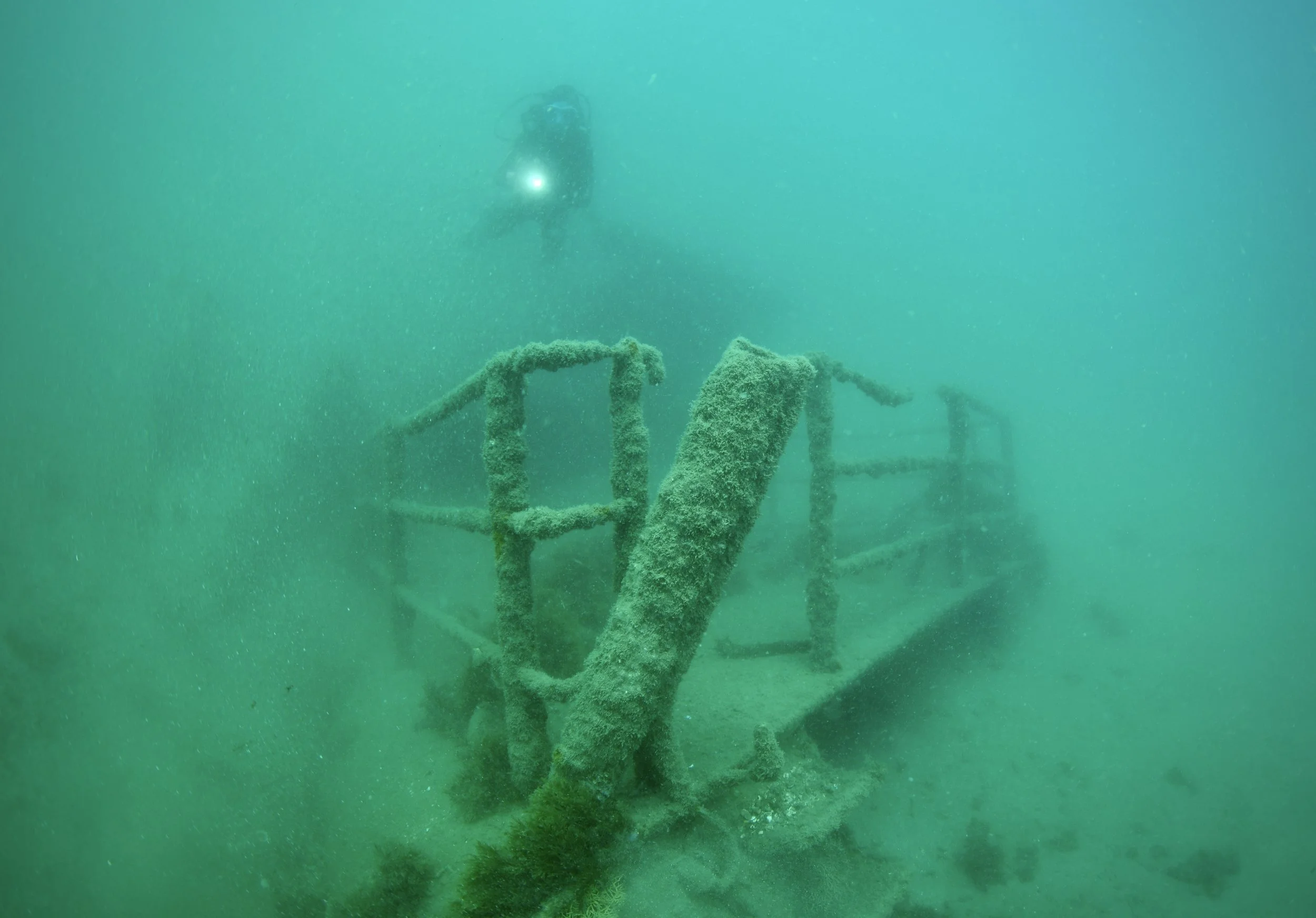 DSC_8253.JPG