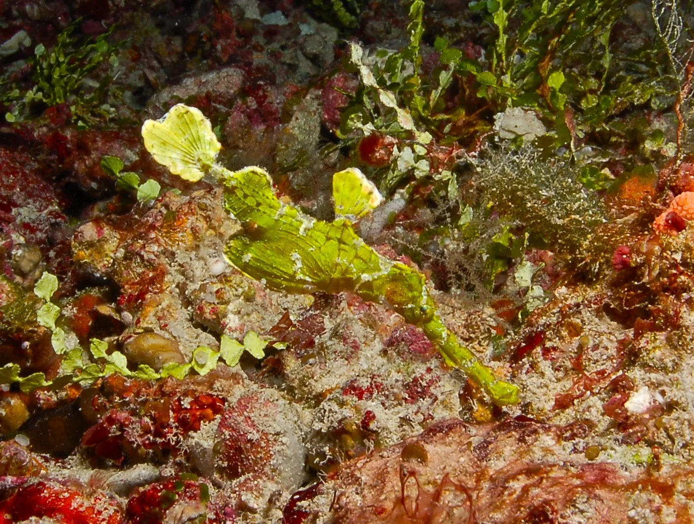 DSC_0379.JPG