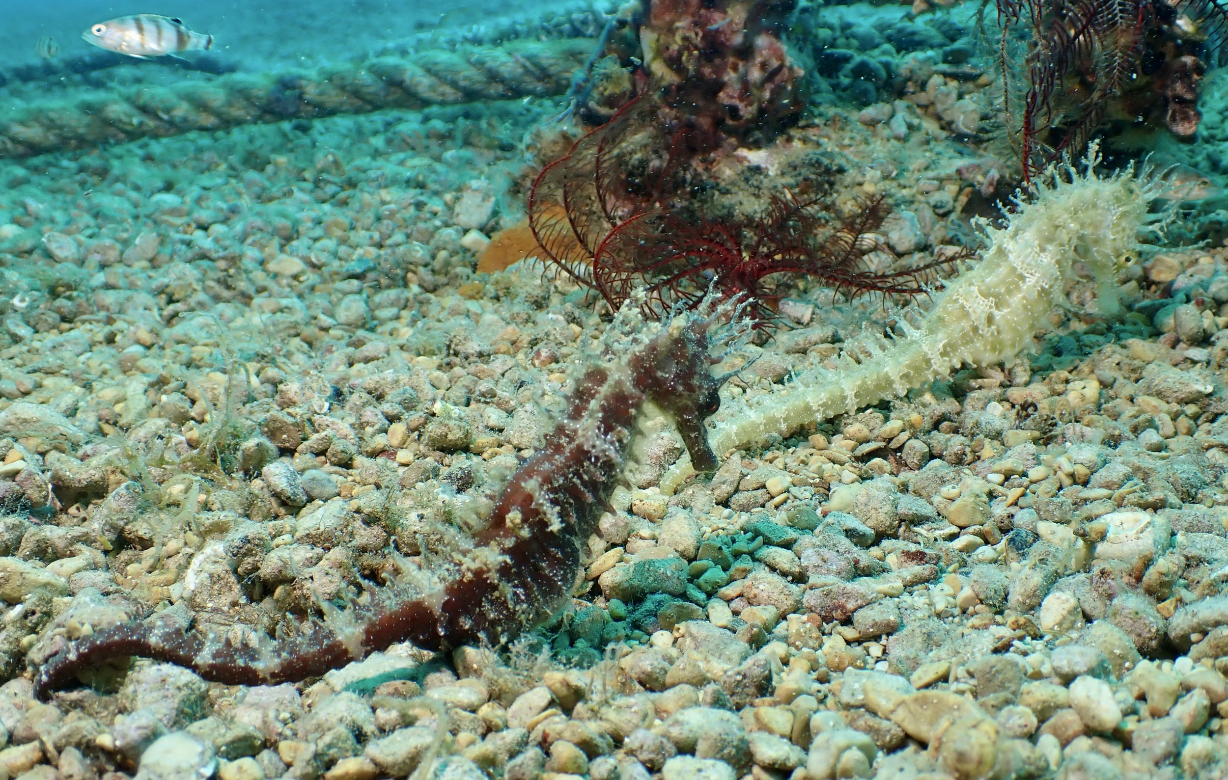 P7280503.JPG
