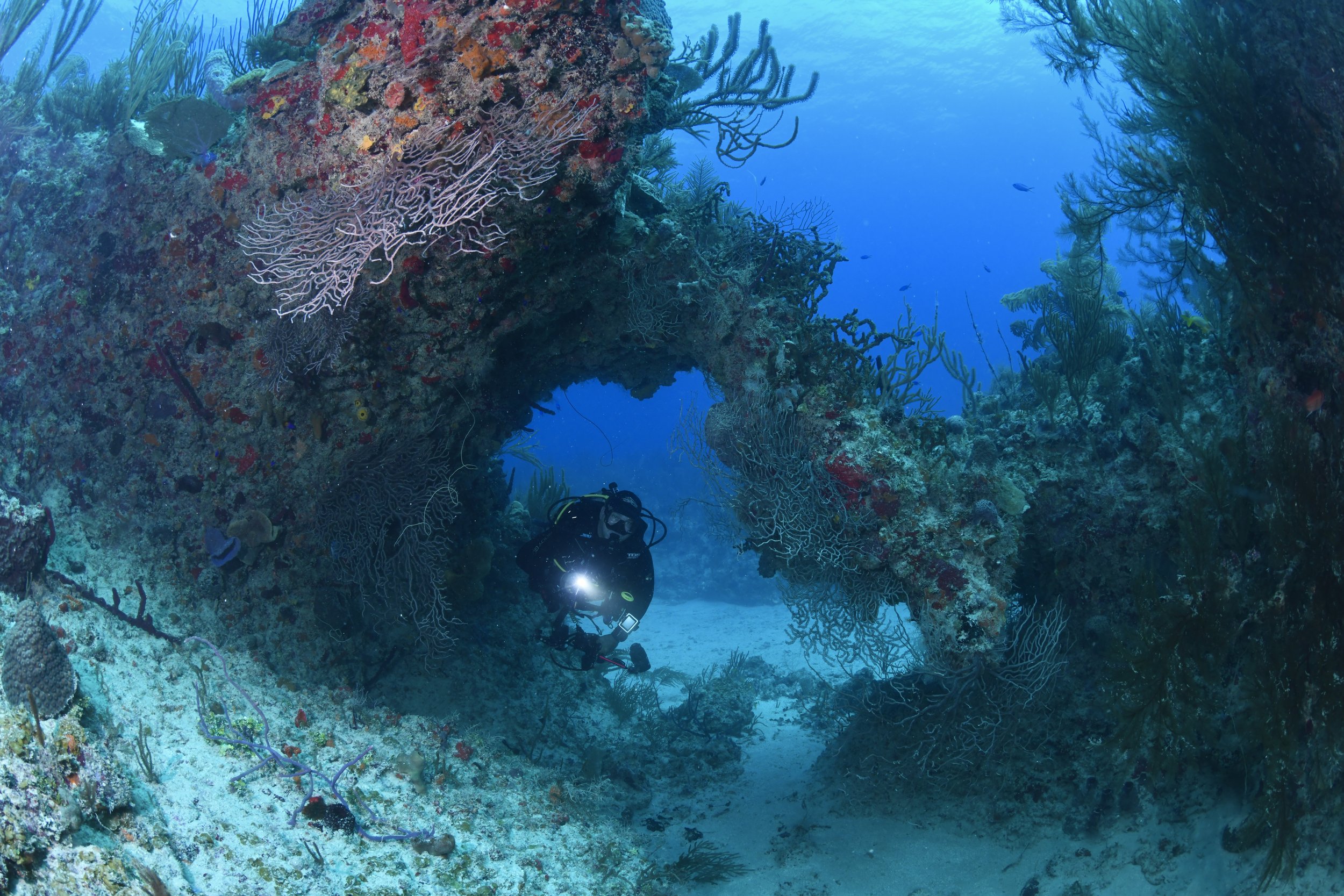 DSC_7272.JPG