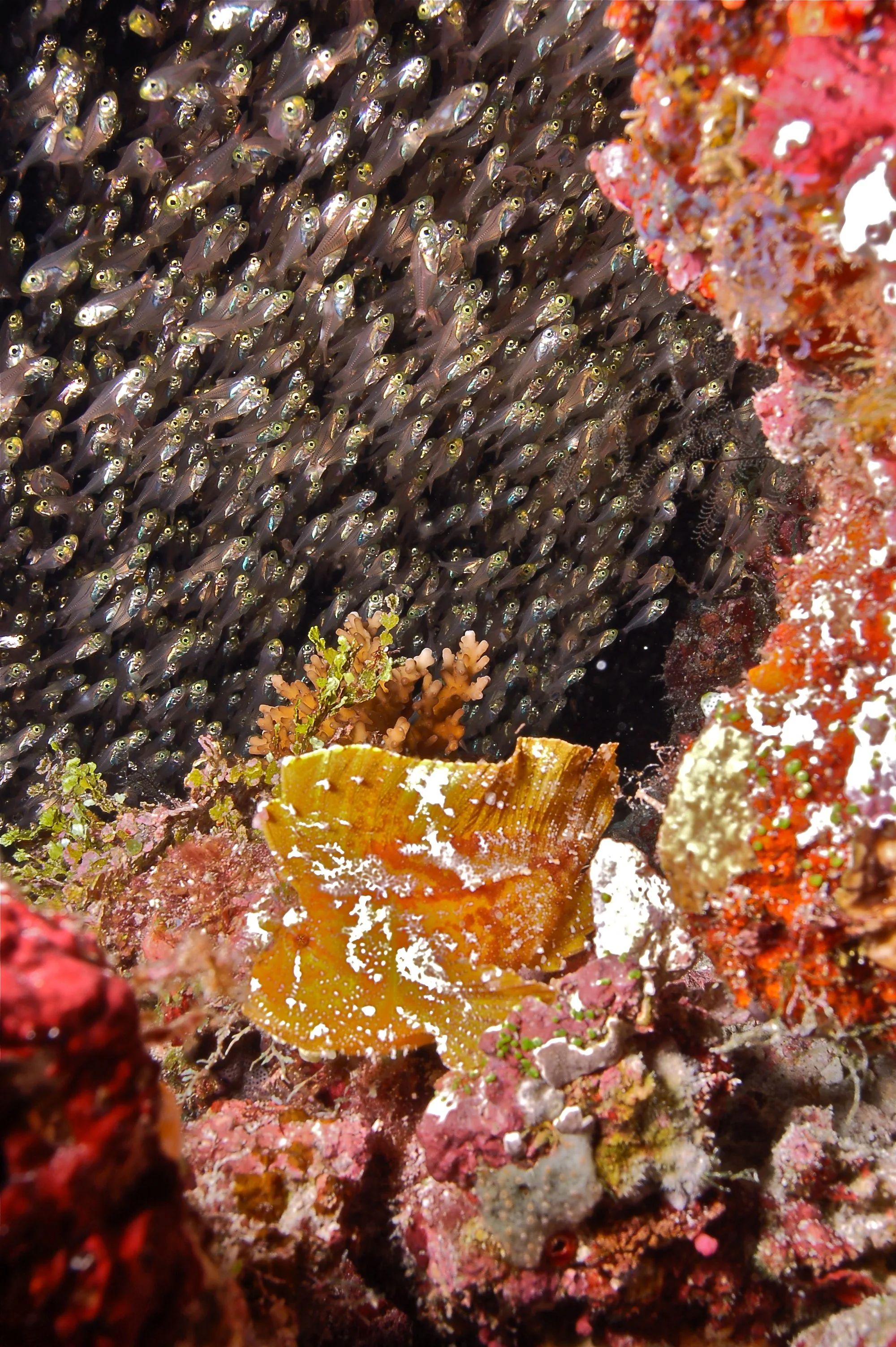 DSC_0369.jpg