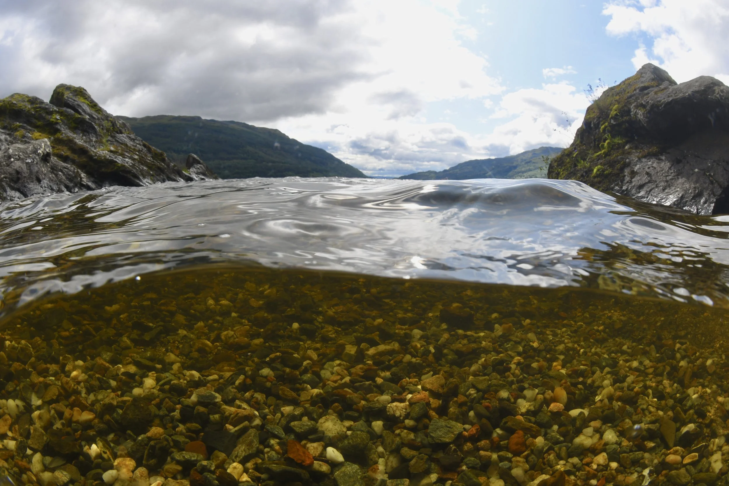 DSC_0354.JPG