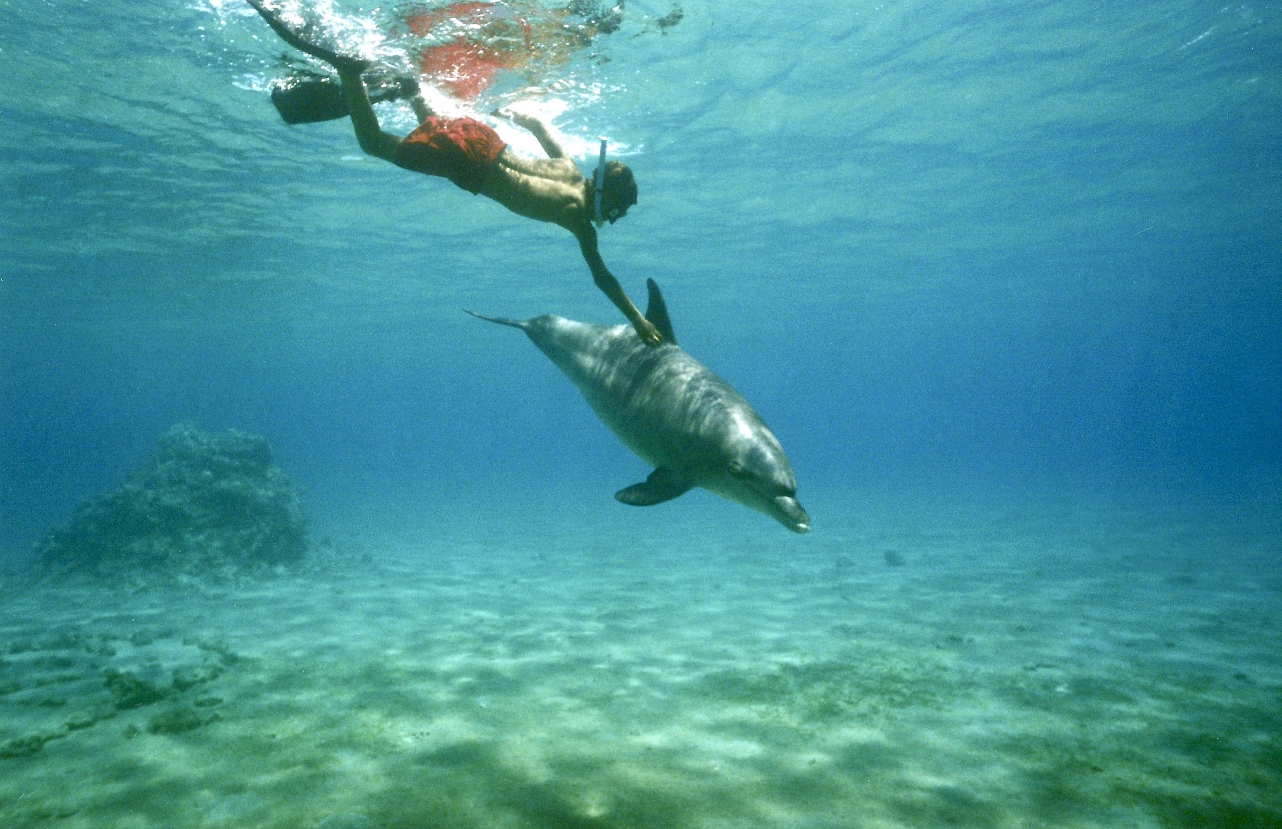 scan0084.jpg