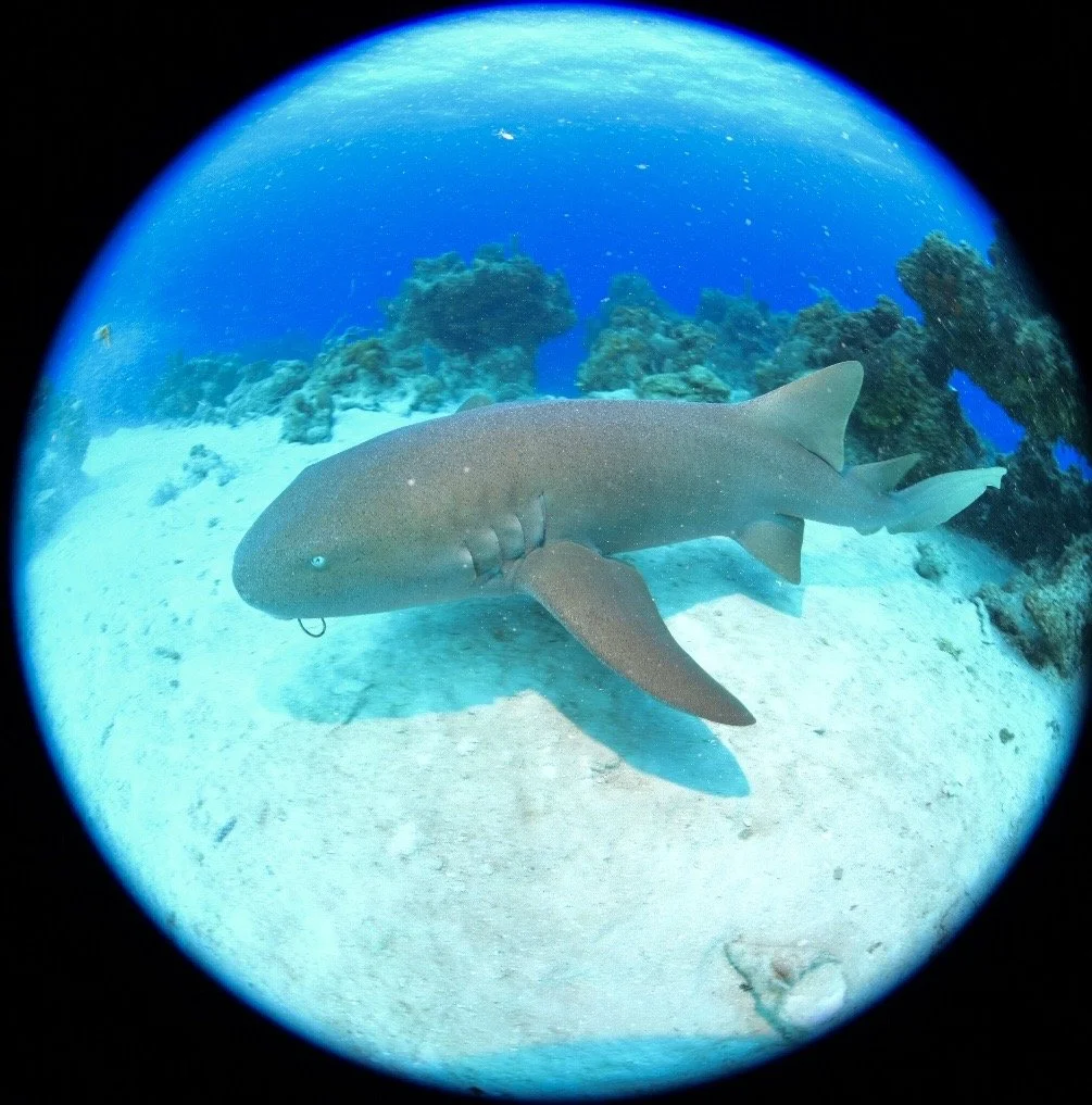 DSC_3030_1.JPG