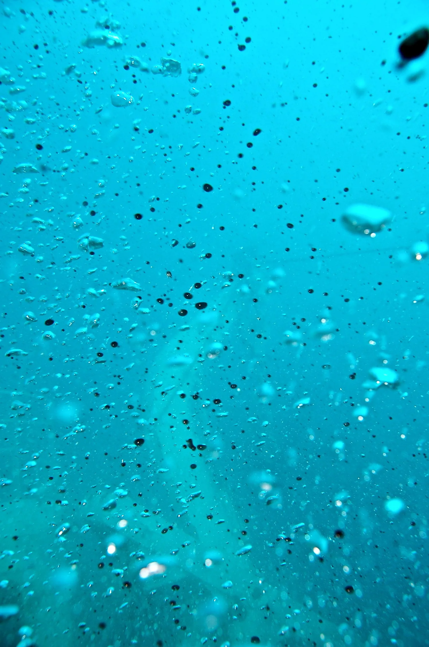 DSC_0235_2.jpg