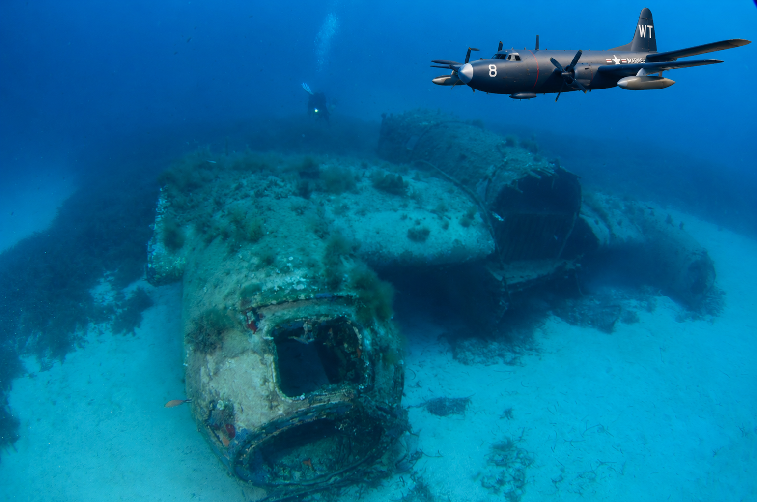 Neptun Lokheed, Malta
