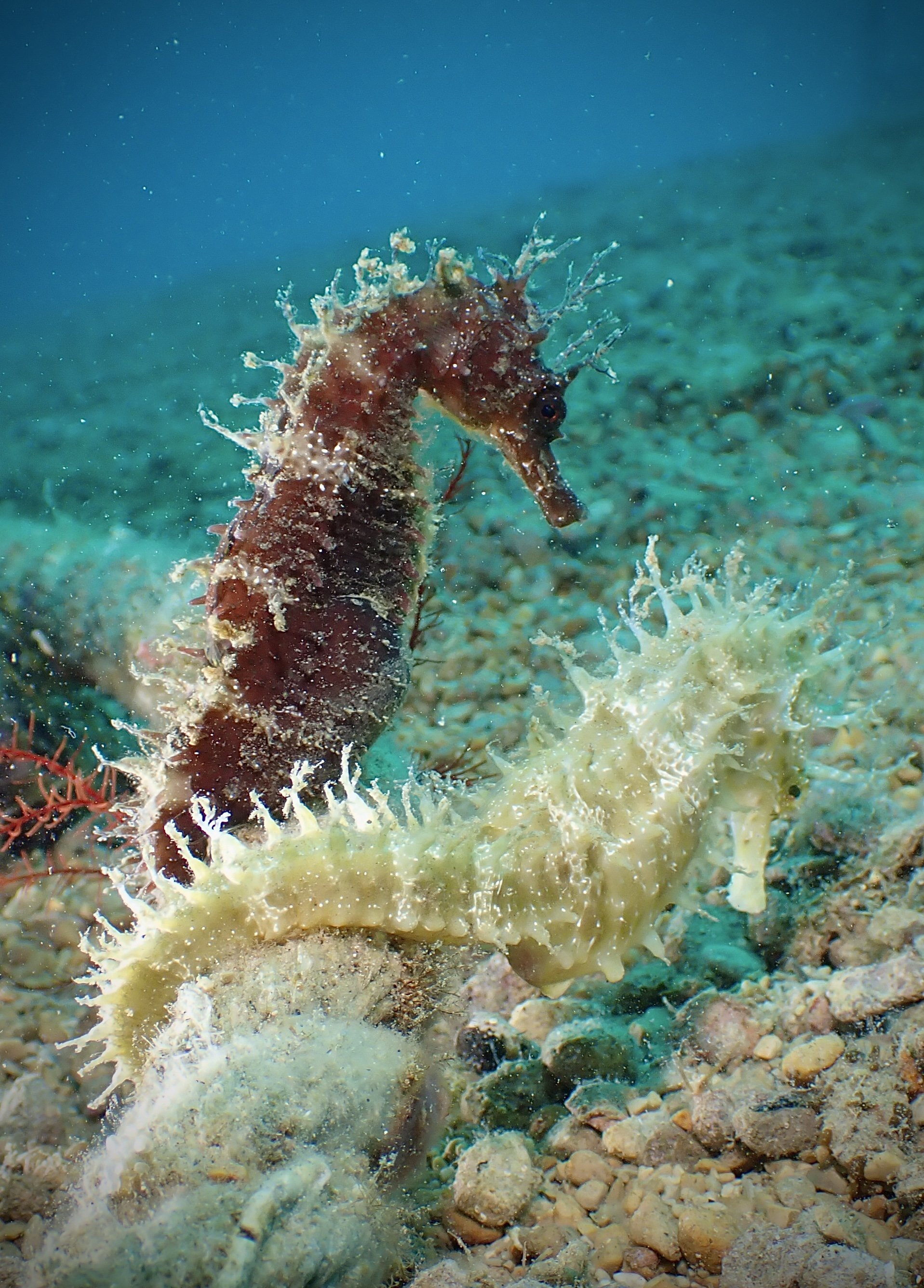 P7280534.JPG