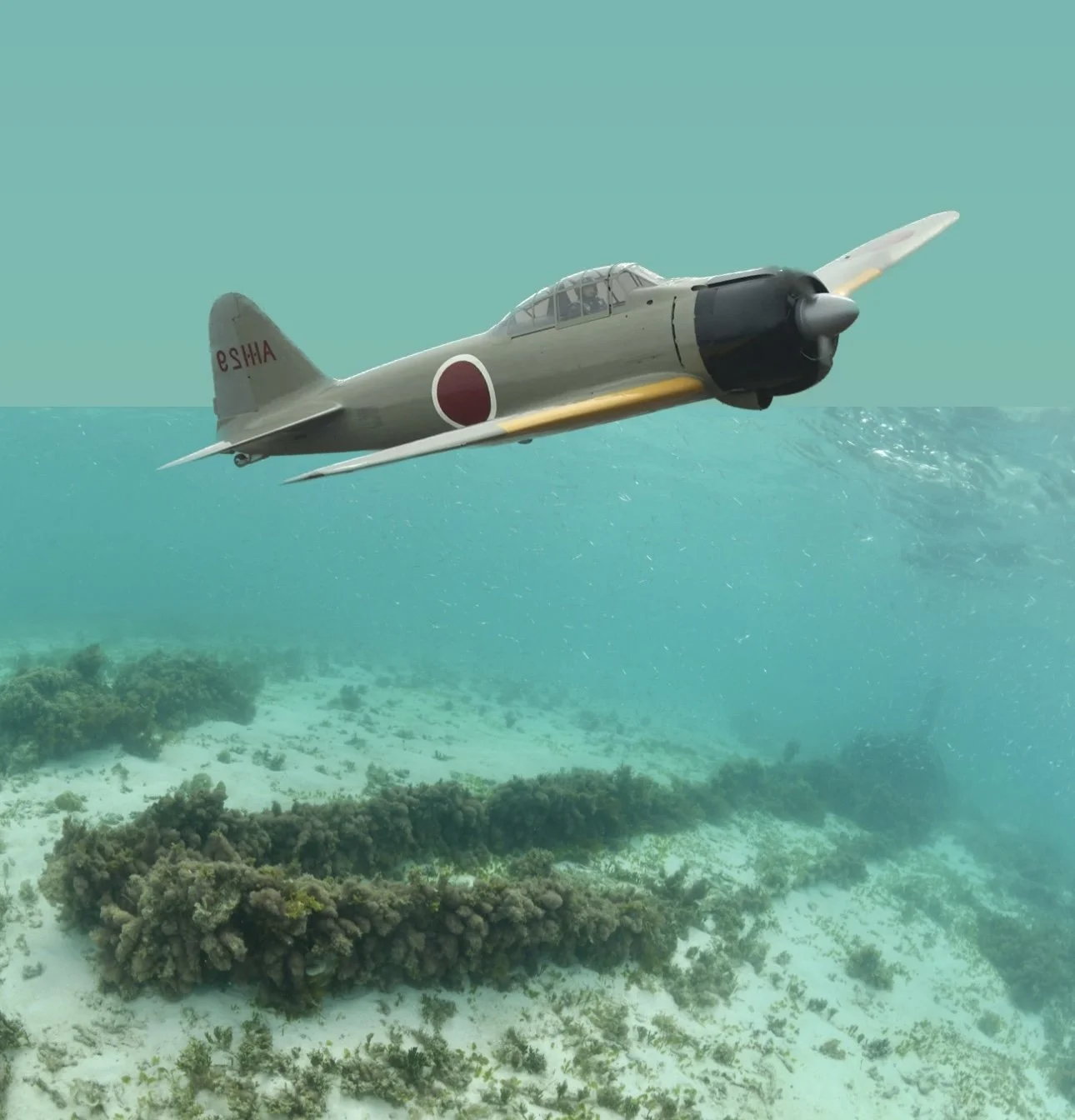 Zero Ngaremediu Reef (Merggie), 2m