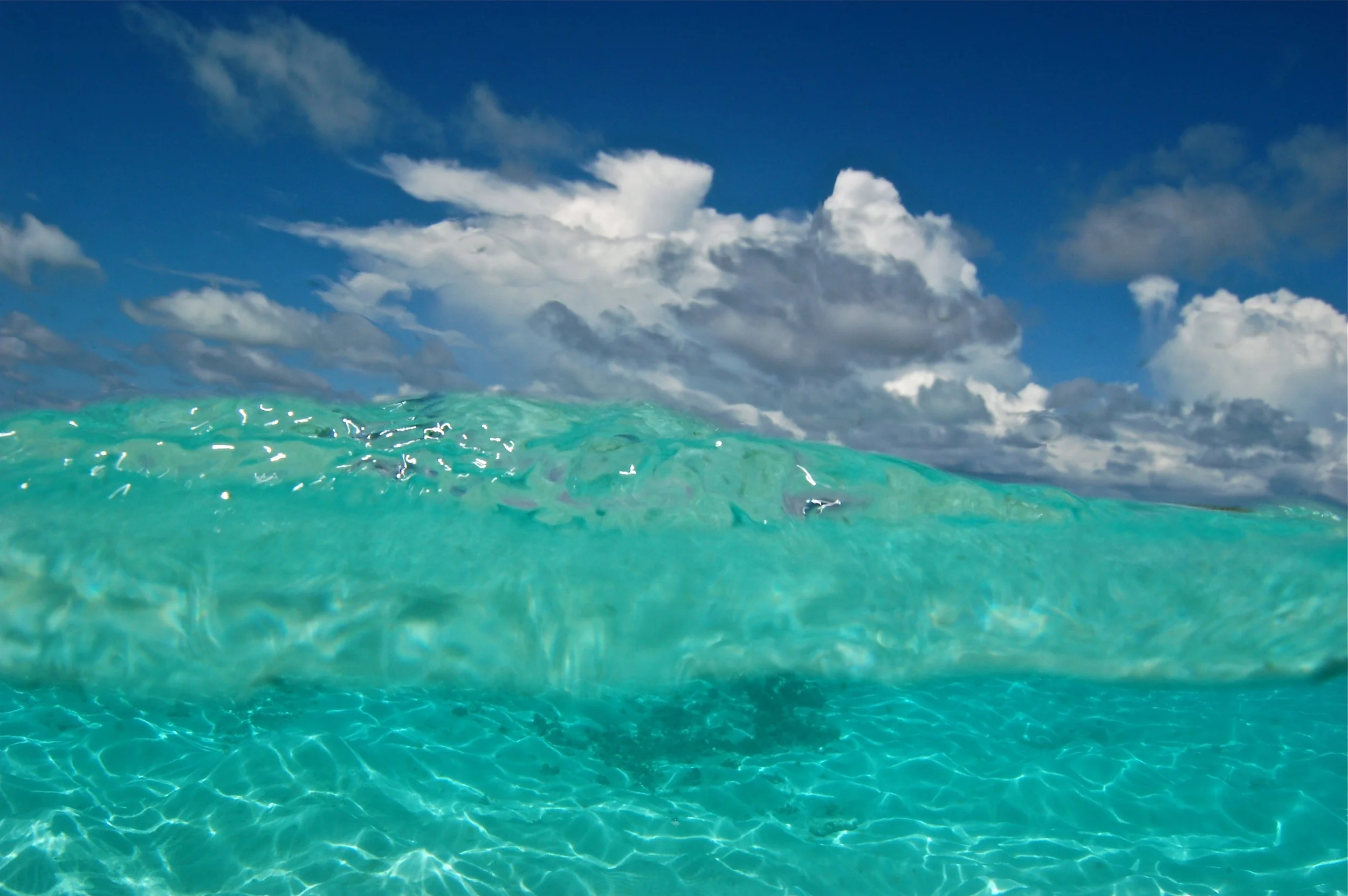 DSC_0696_2_2.JPG