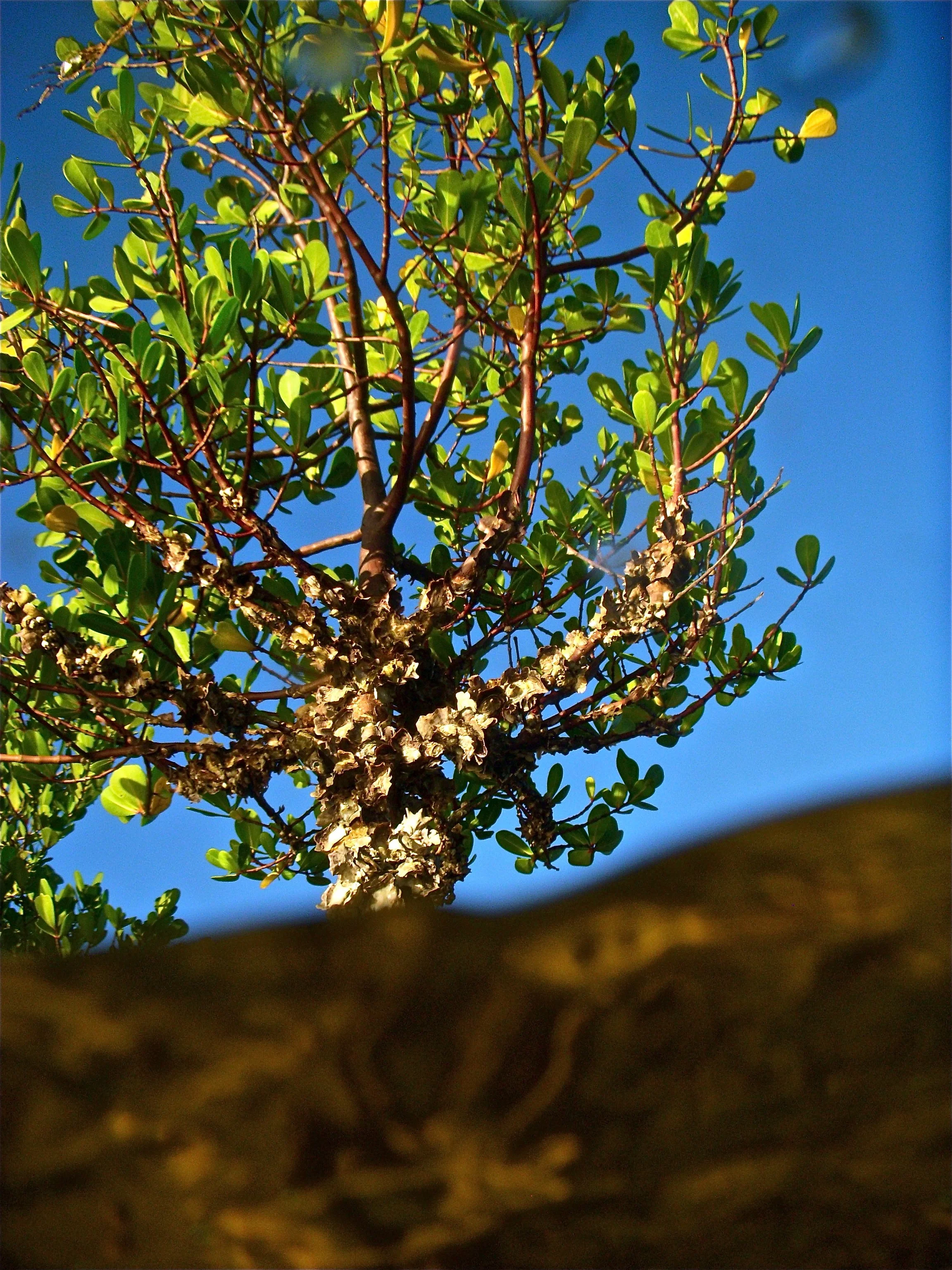 DSCN0033.JPG