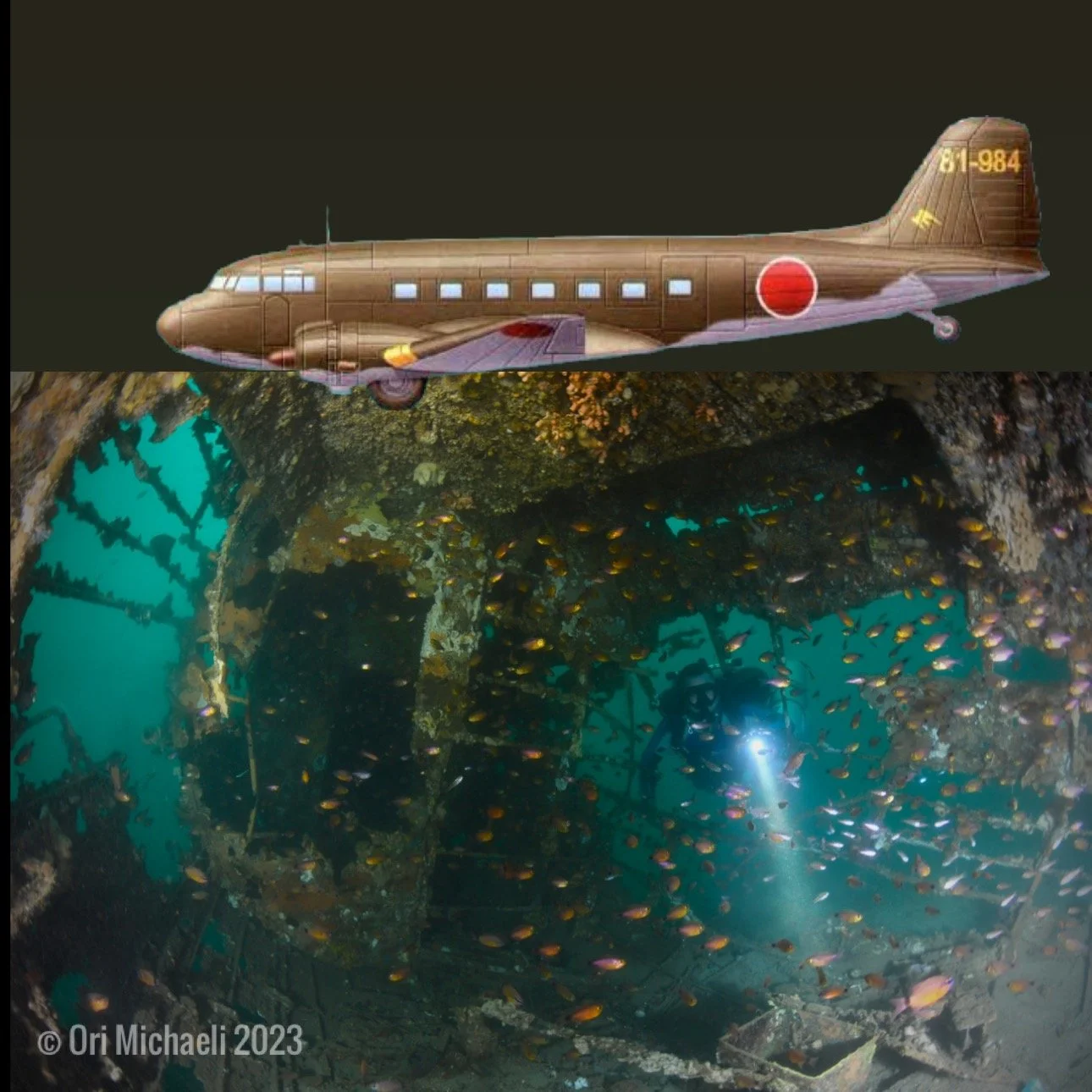 L2D “Tabby” (Japanese DC-3/C-47), Subic Bay, Philippines