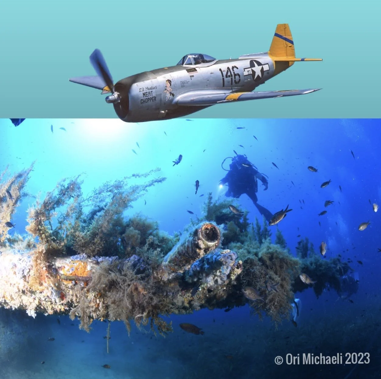 P47 Mcinaggio, Corsica, France