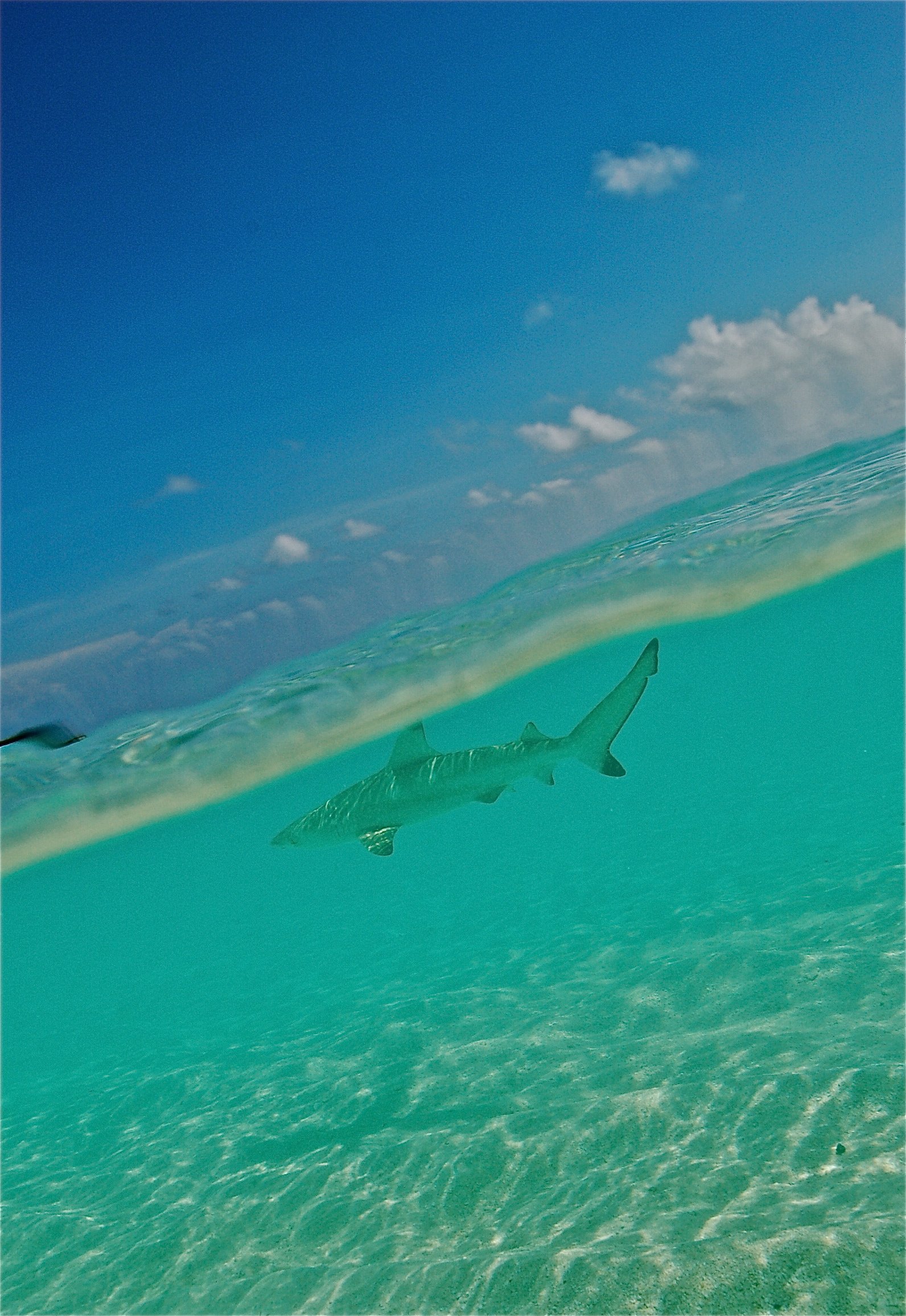 DSC_0094 2_2.jpg