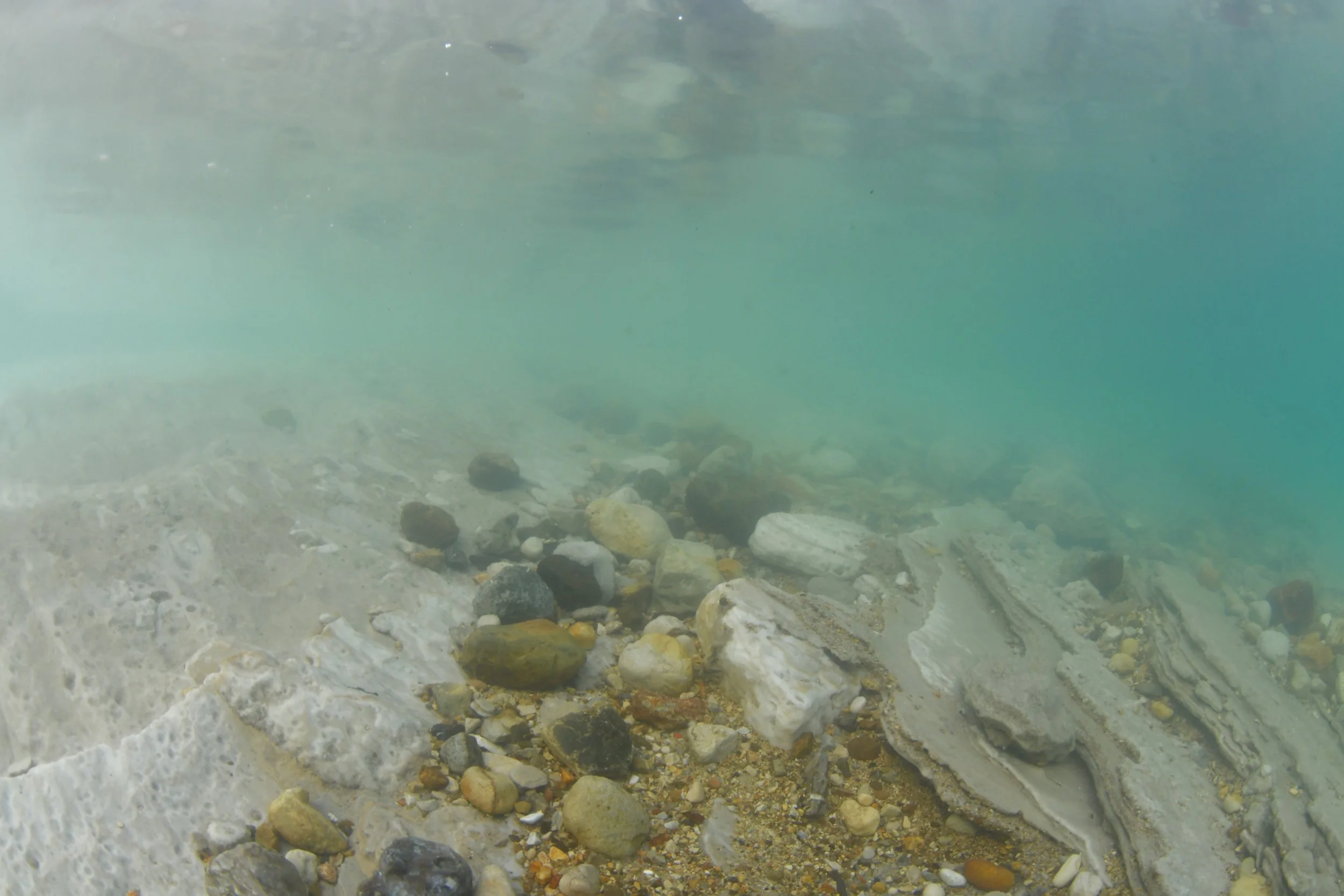 DSC_2937.JPG