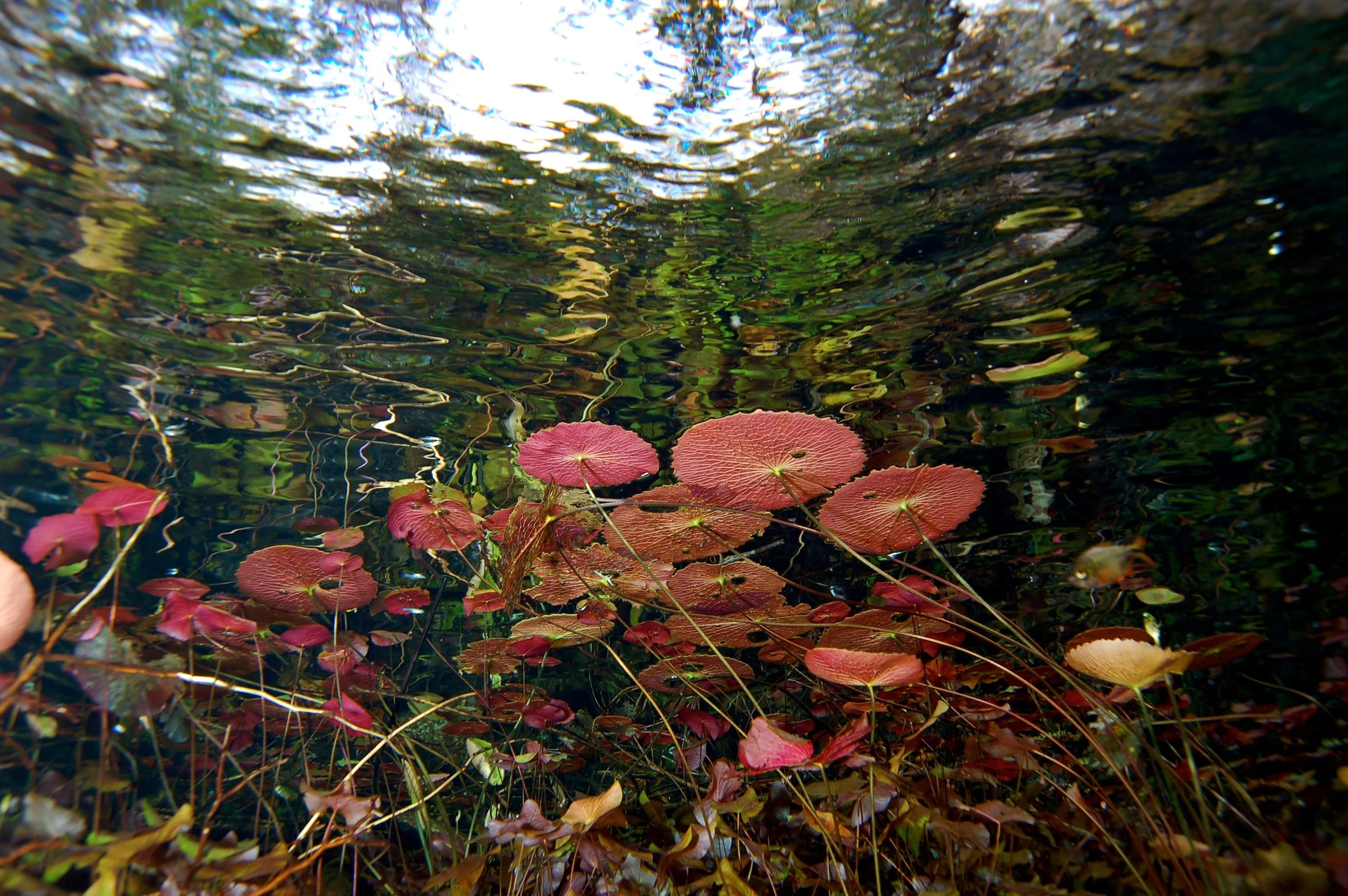 DSC_0157a.jpg