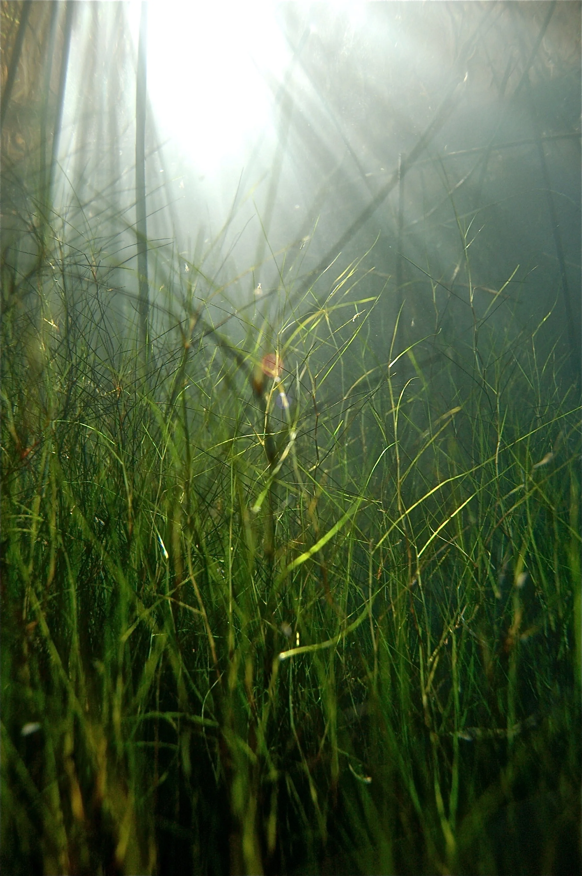 DSC_0168.JPG
