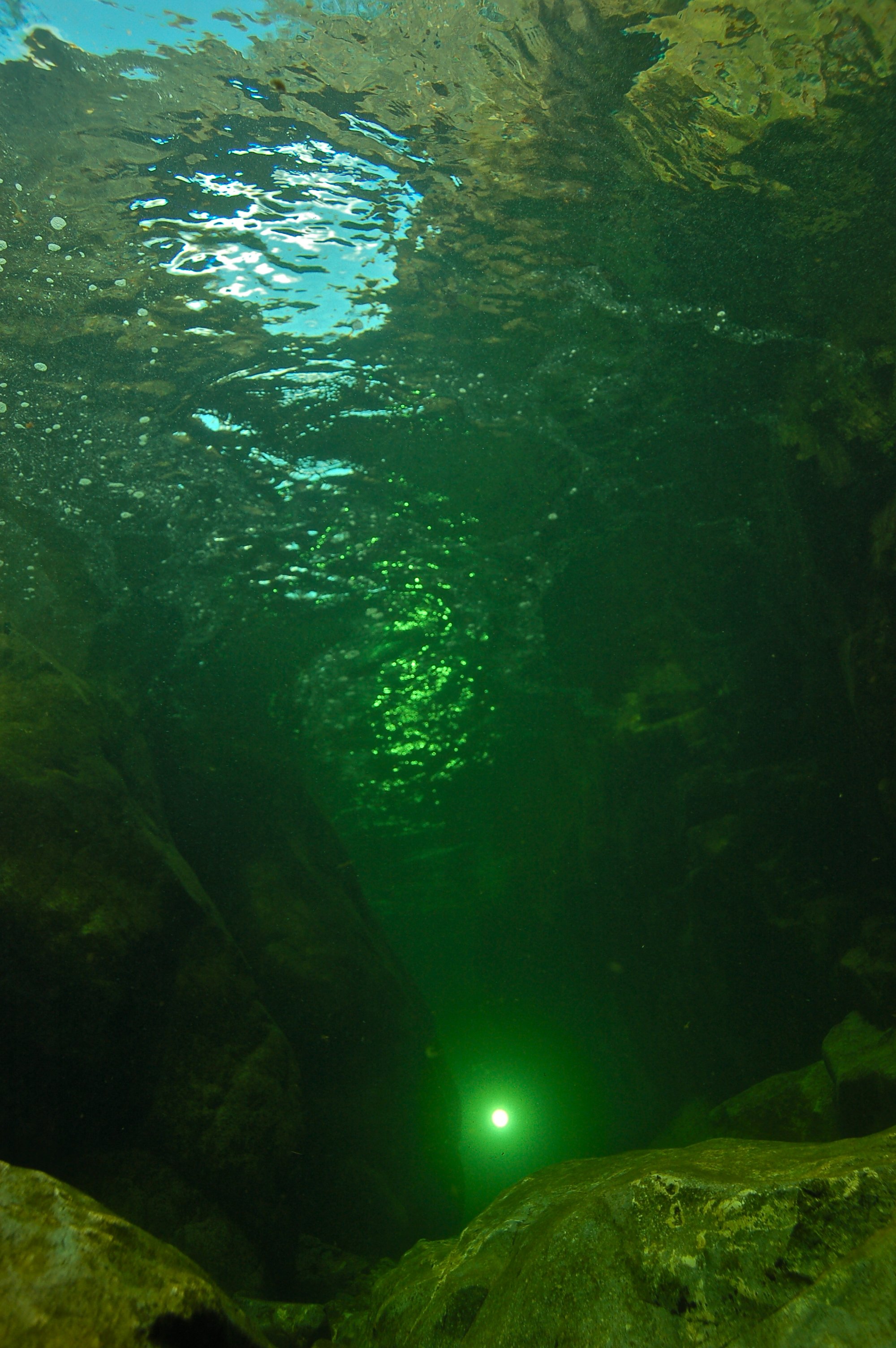 DSC_0065_2.jpg