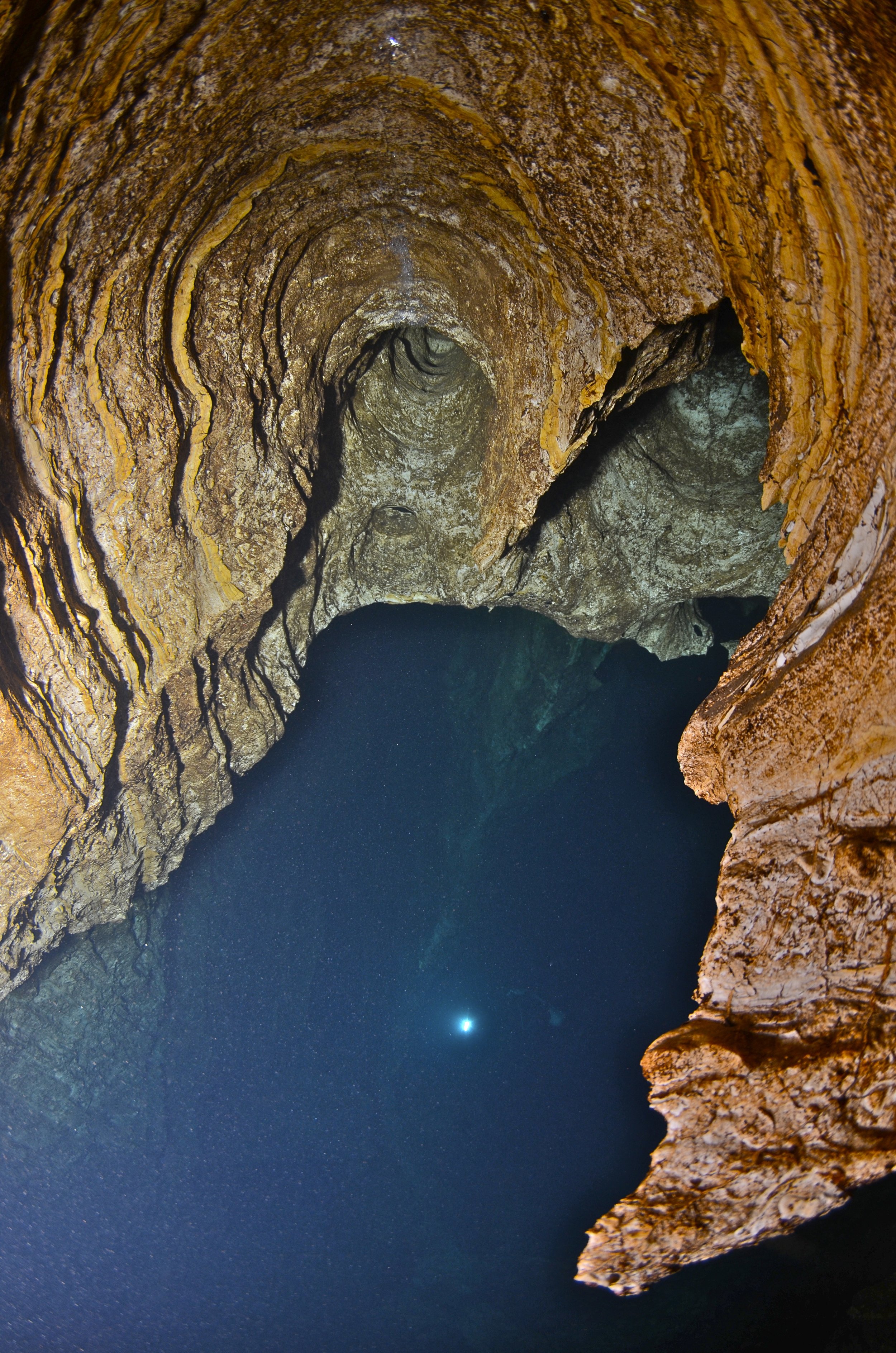 DSC_2201.jpg