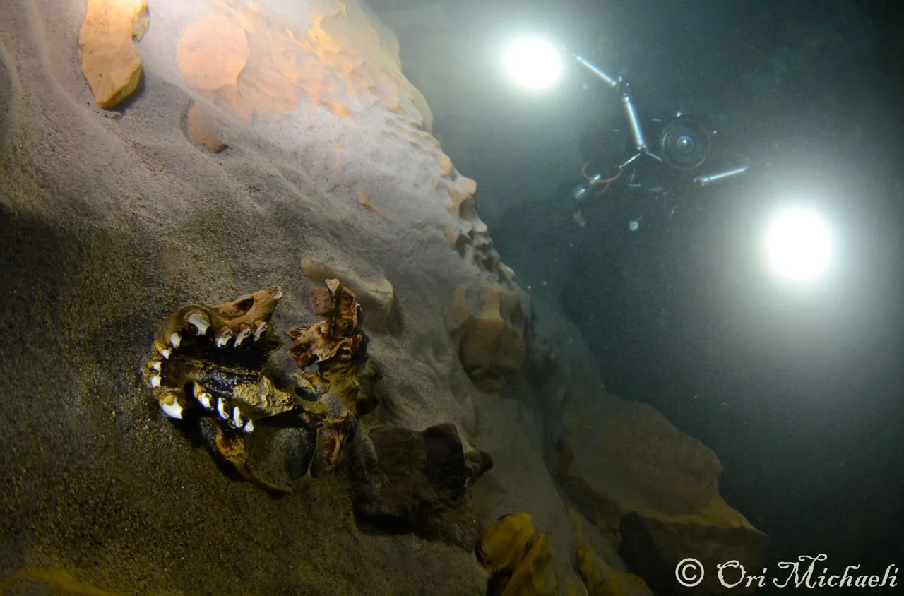 DSC_1453.jpg