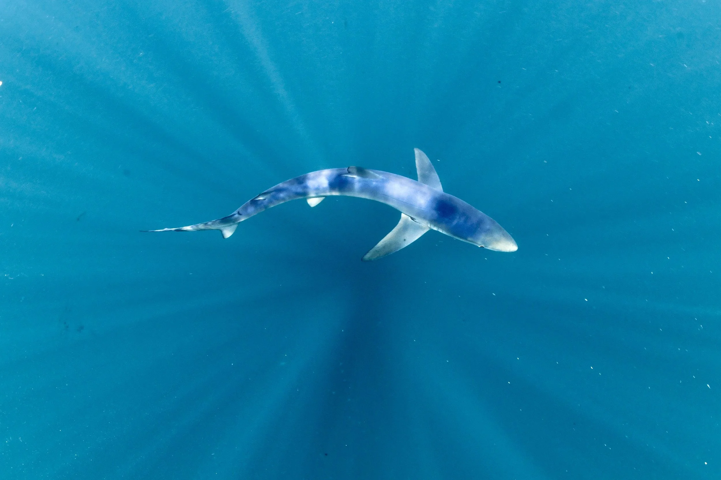 DSC_8405.JPG