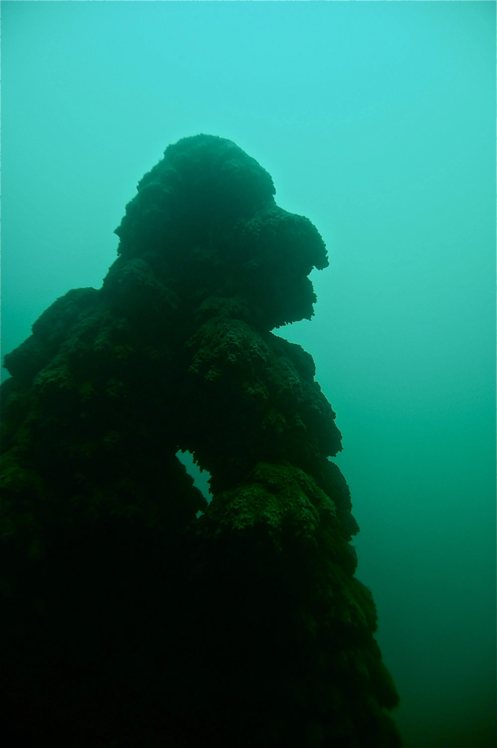 DSC_0582_2.JPG