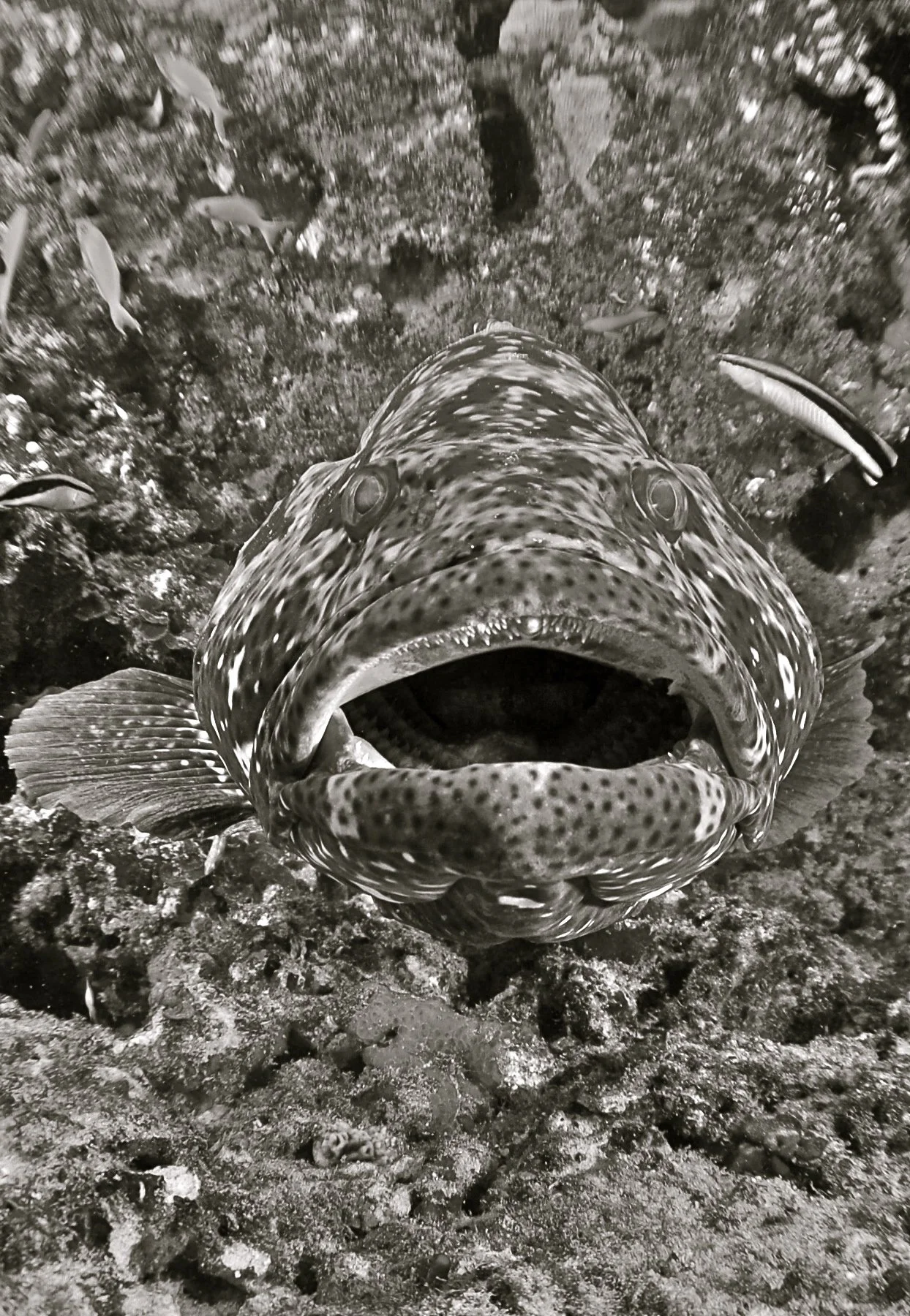 DSC_0097.JPG