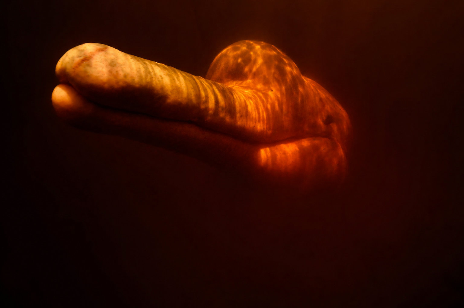 4744ABE9-D463-420E-BDA0-D26E240448B6.png