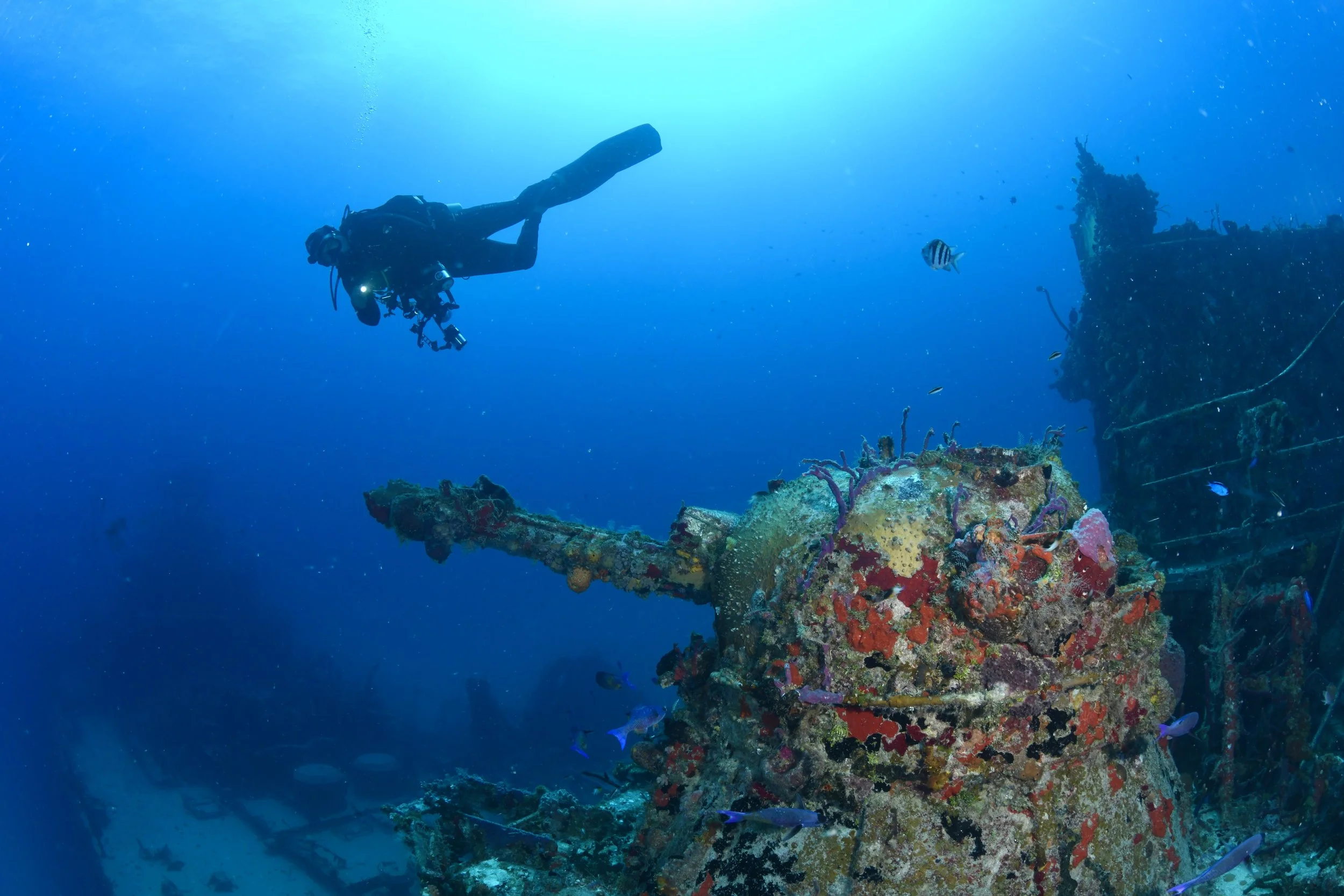 DSC_7559.JPG