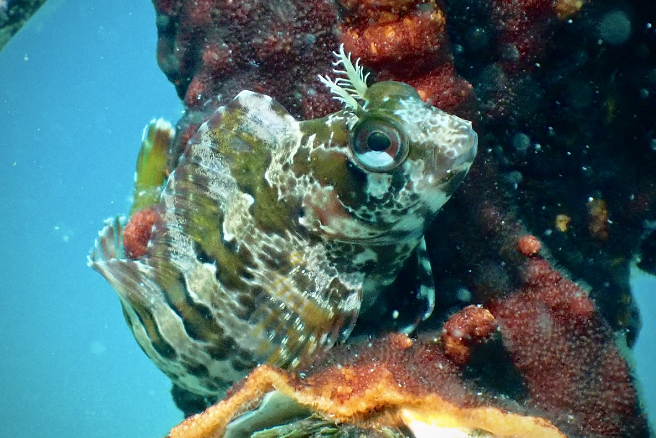 P7280584.JPG