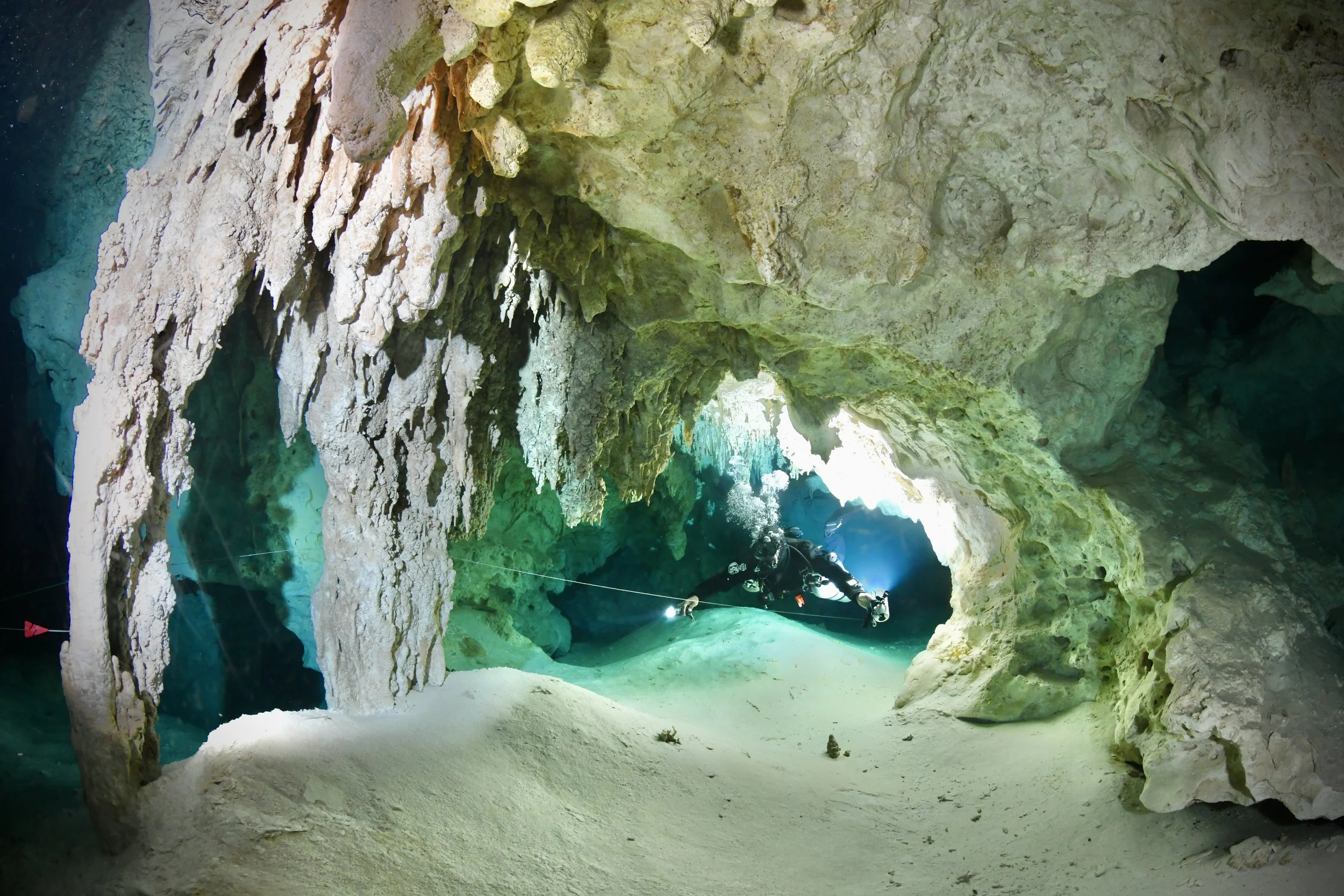 DSC_2698.JPG