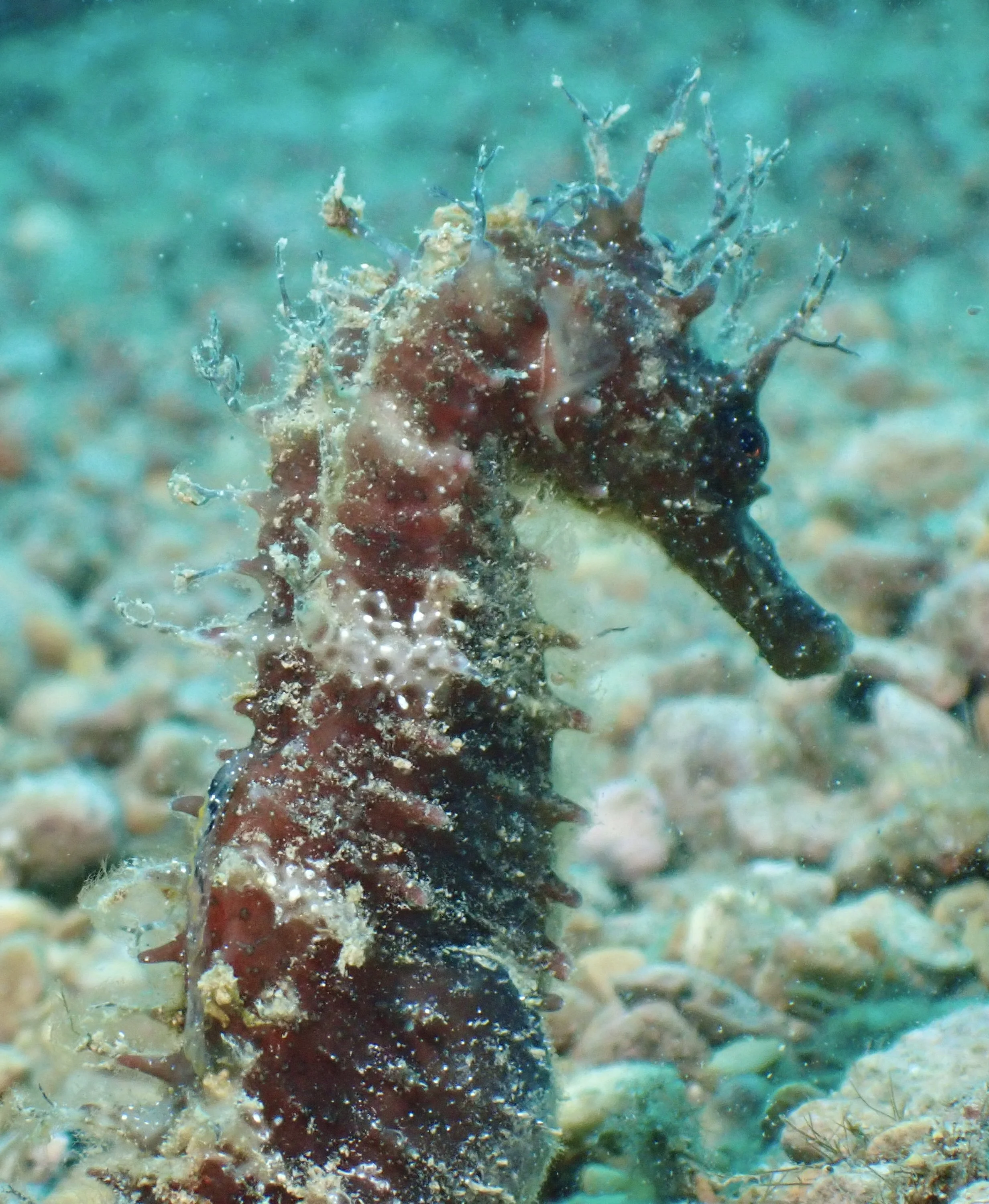 P7280501.JPG