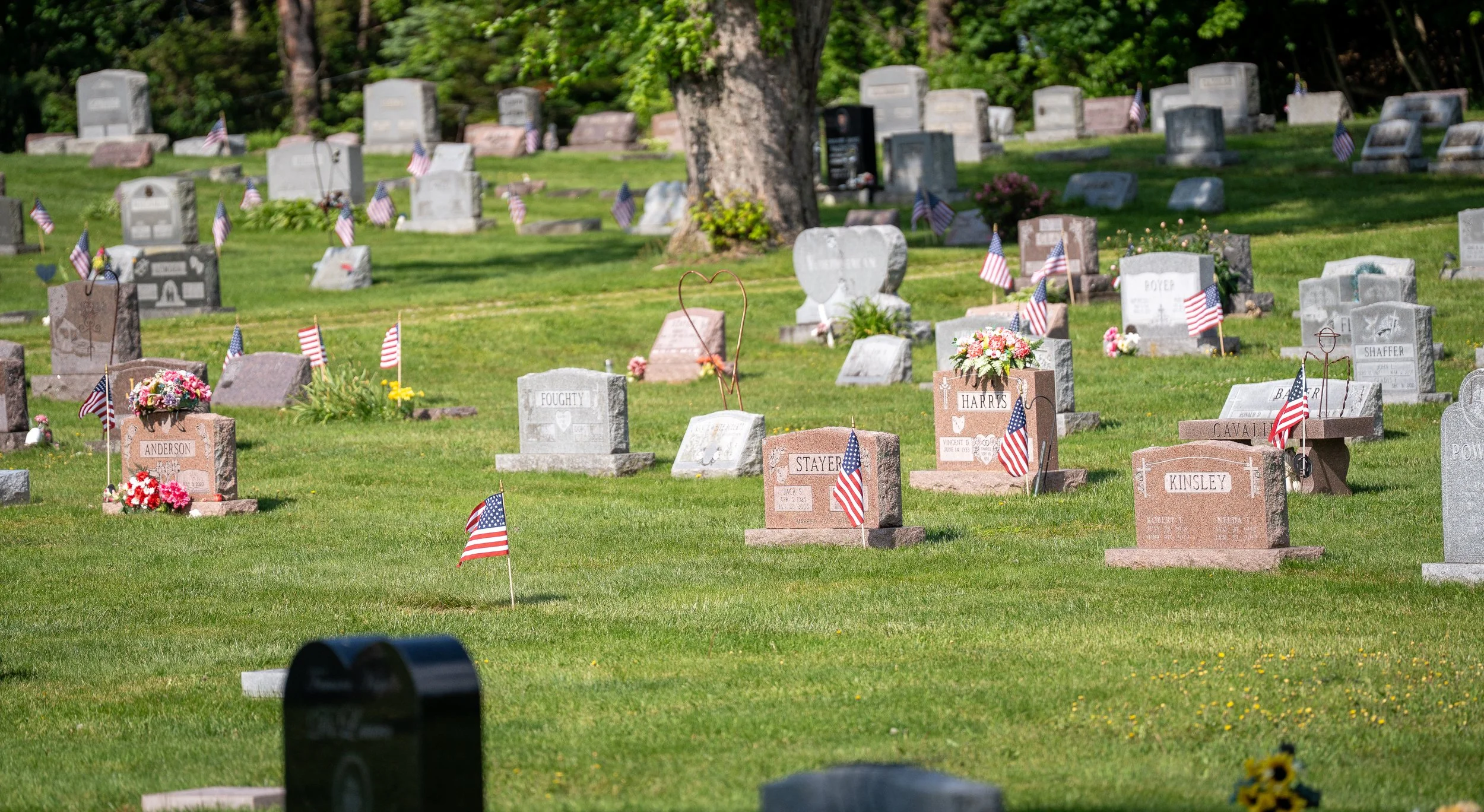 Graveyard with numerous headstones and American flags, decorated with flowers, in a green grassy area with a large tree and greenery in the background.