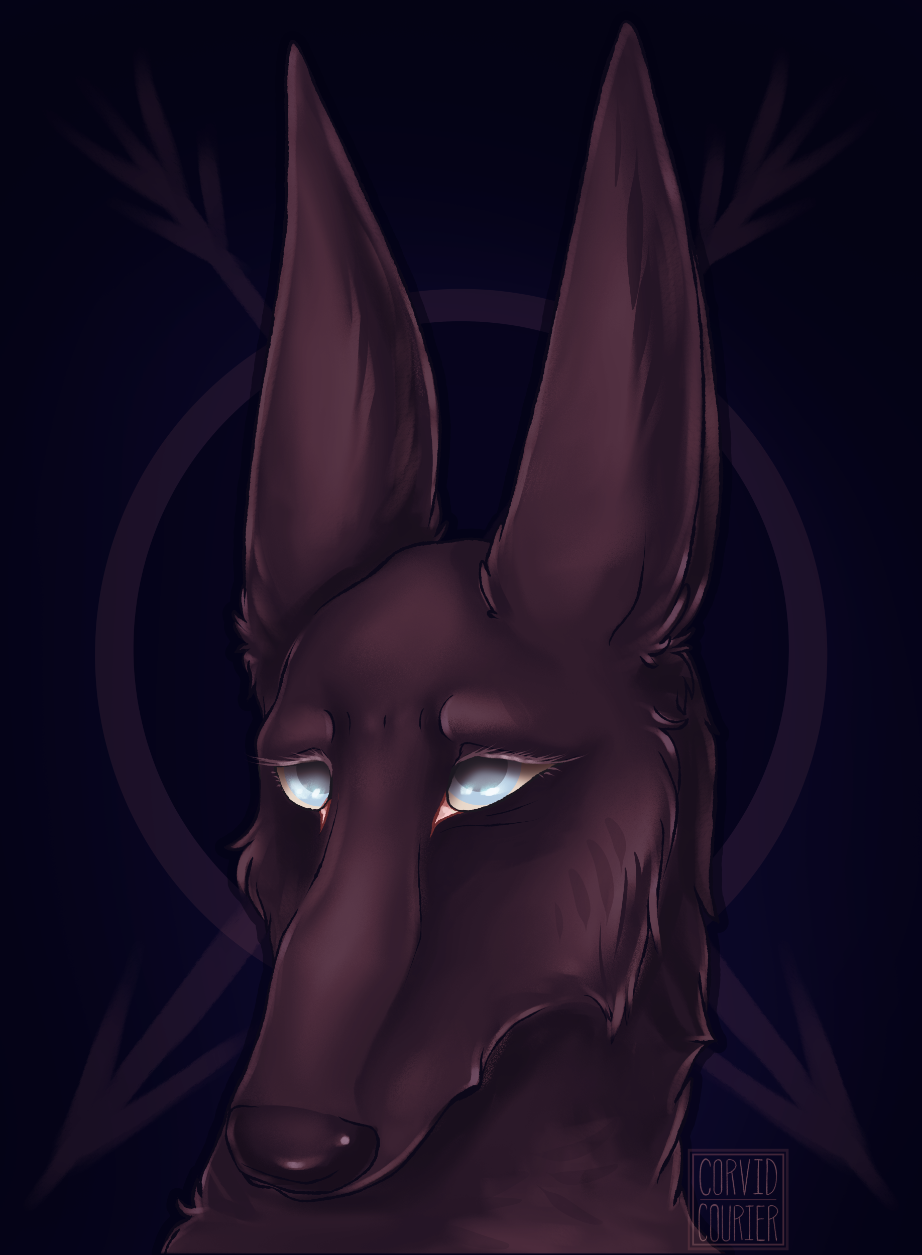 black dog.png