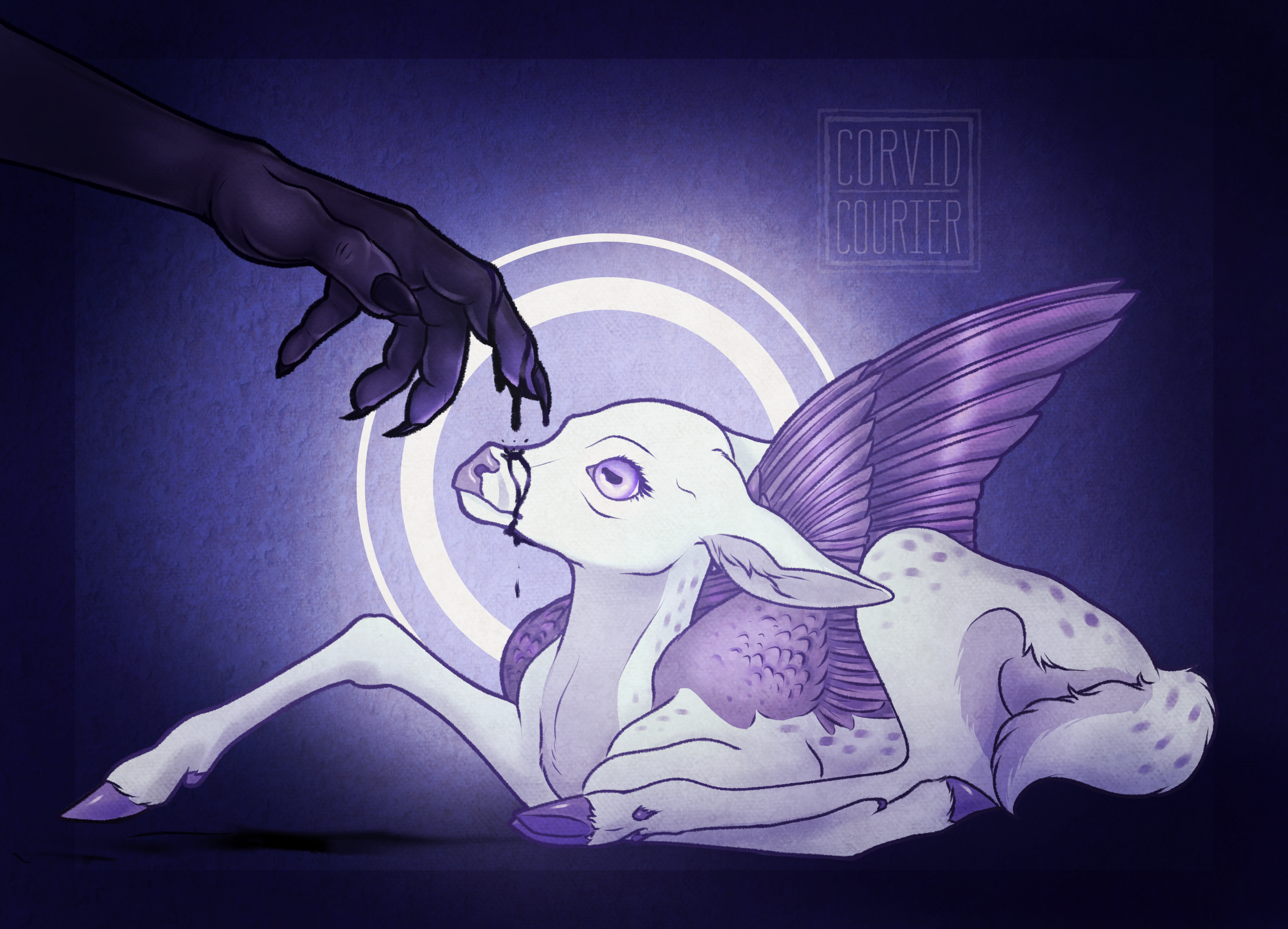first contact.png