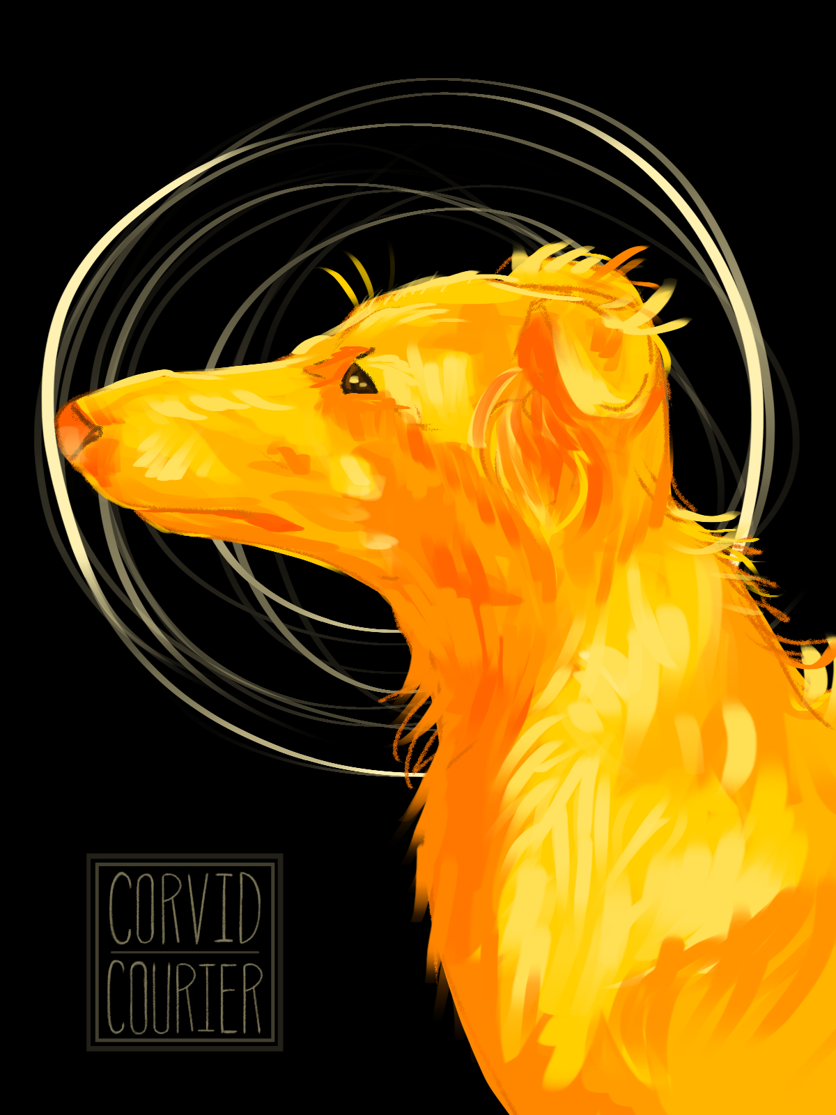 Illustration.png