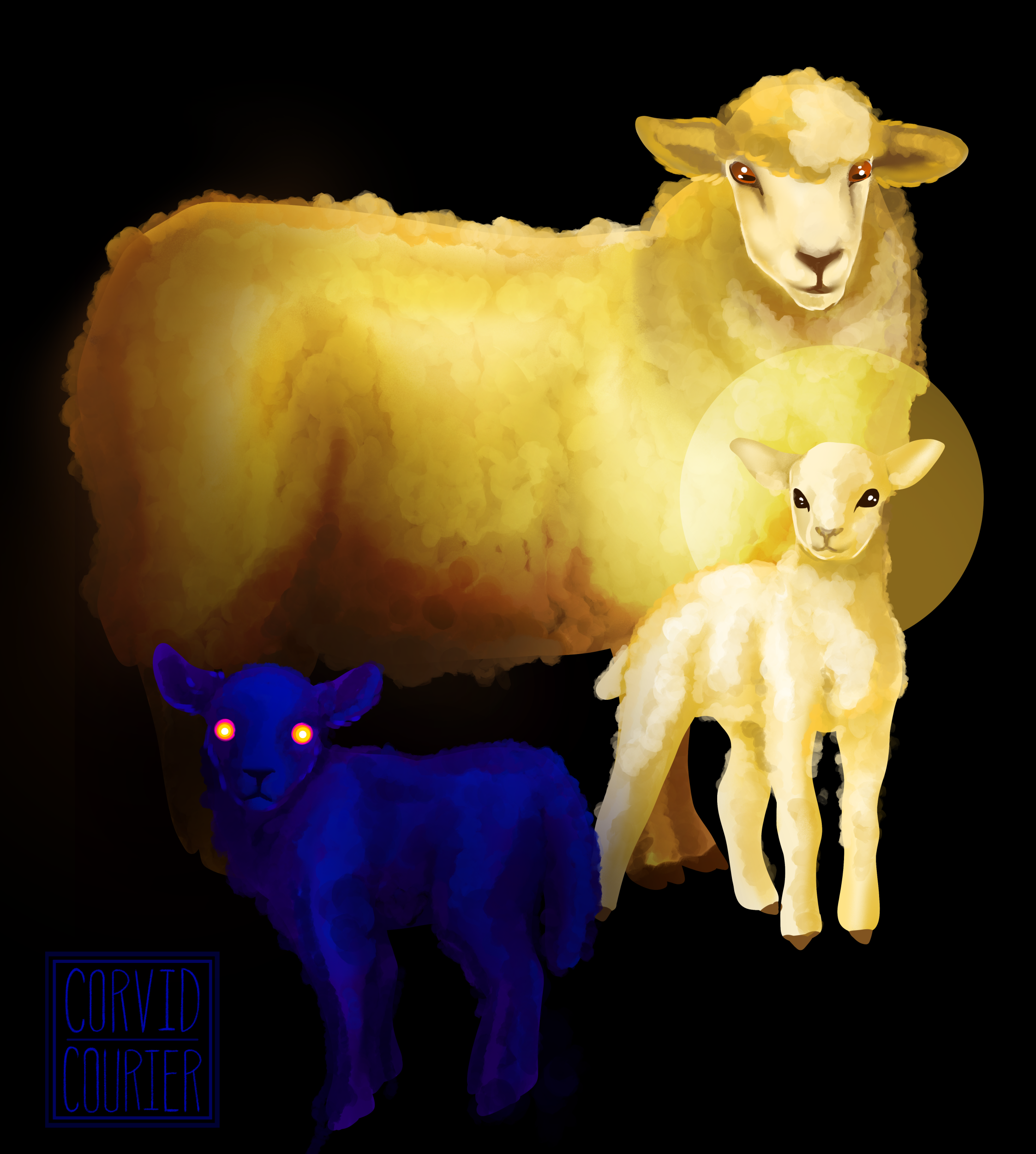 black sheep3.png