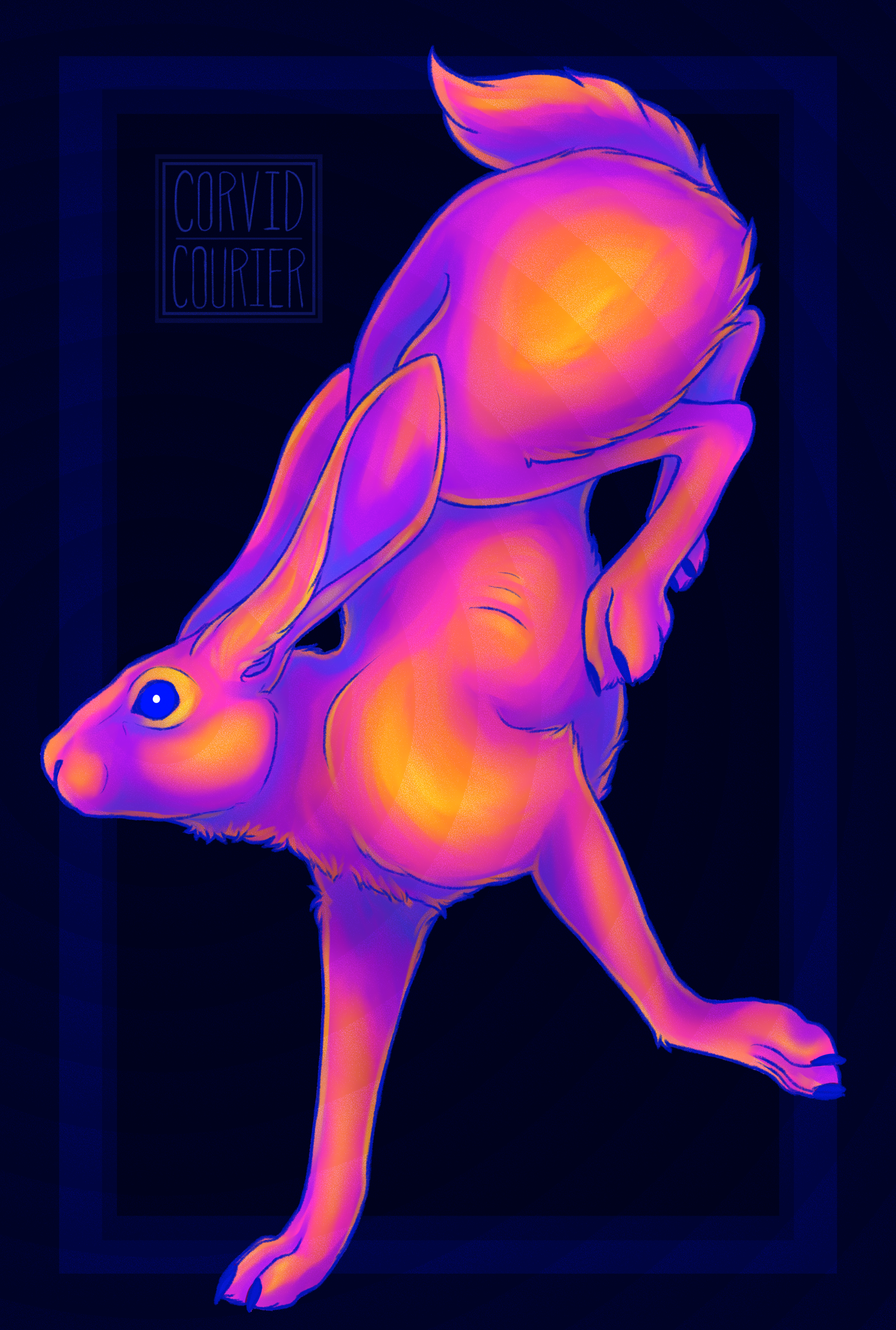 rabbitc5.png