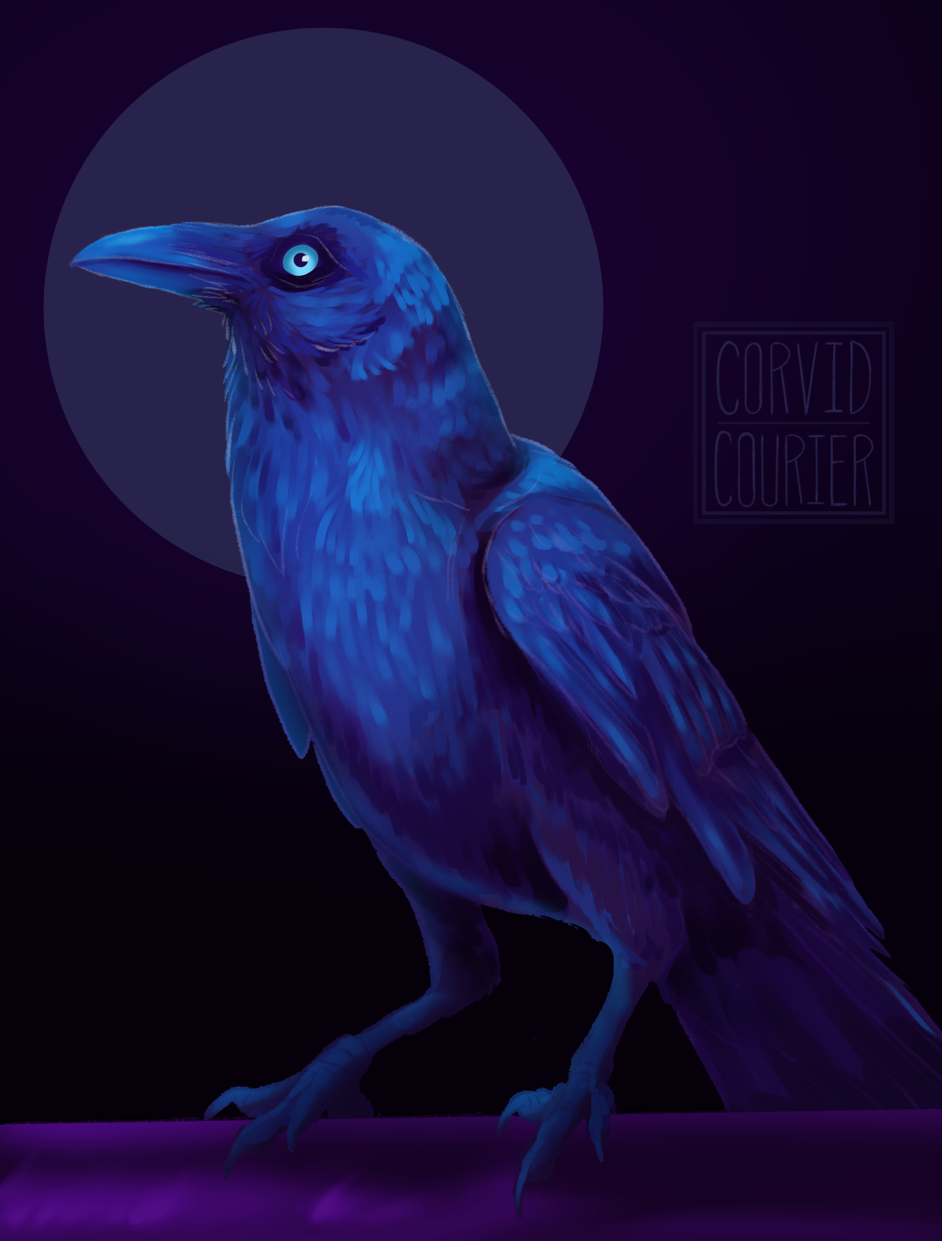 crowsa.png