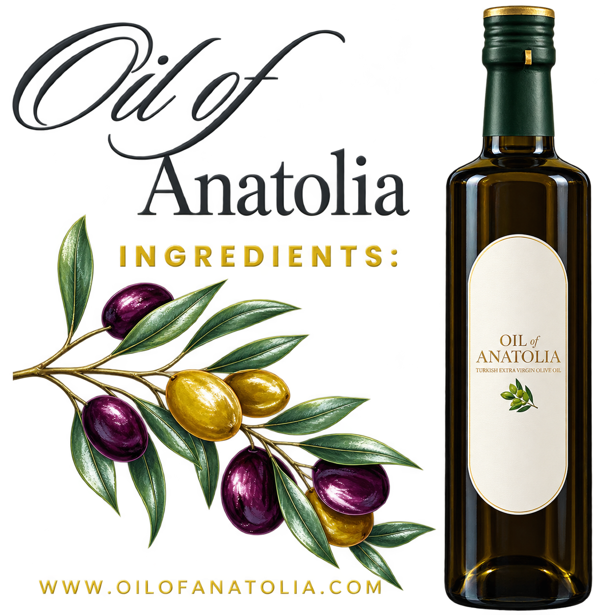 Oil of Anatolia storytelling project exploring olive oil and Anatolian cultural heritage.