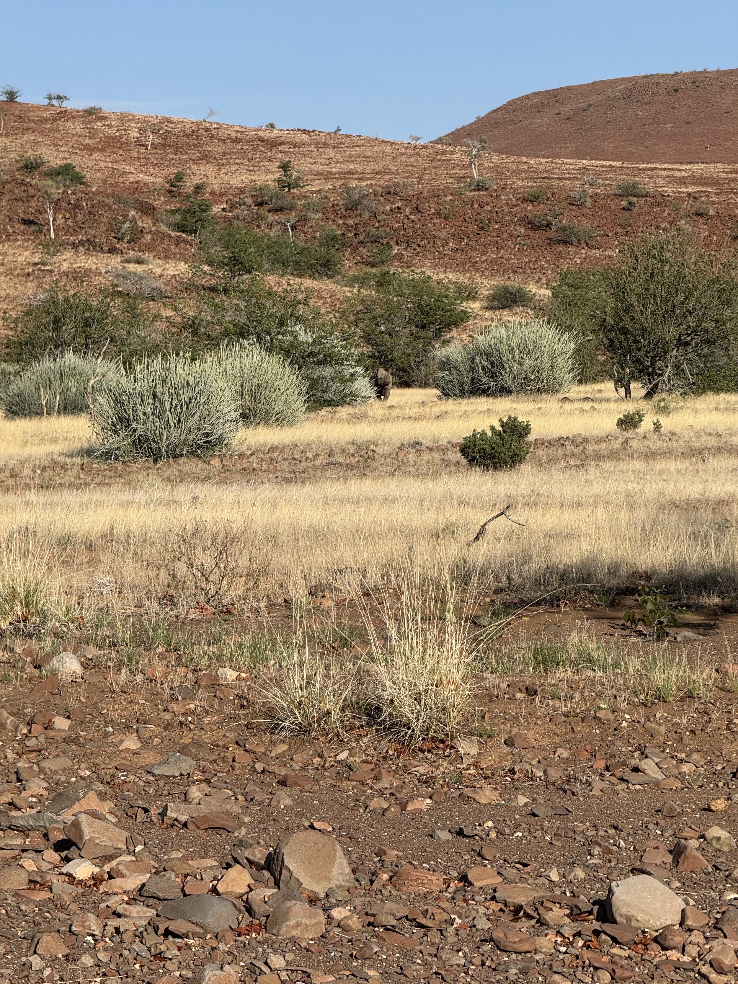 IMG_7572.jpeg