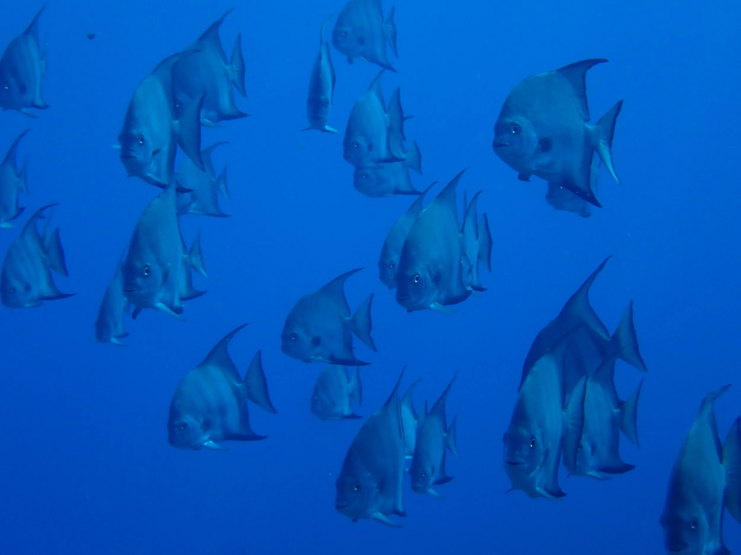 P8070547.JPG