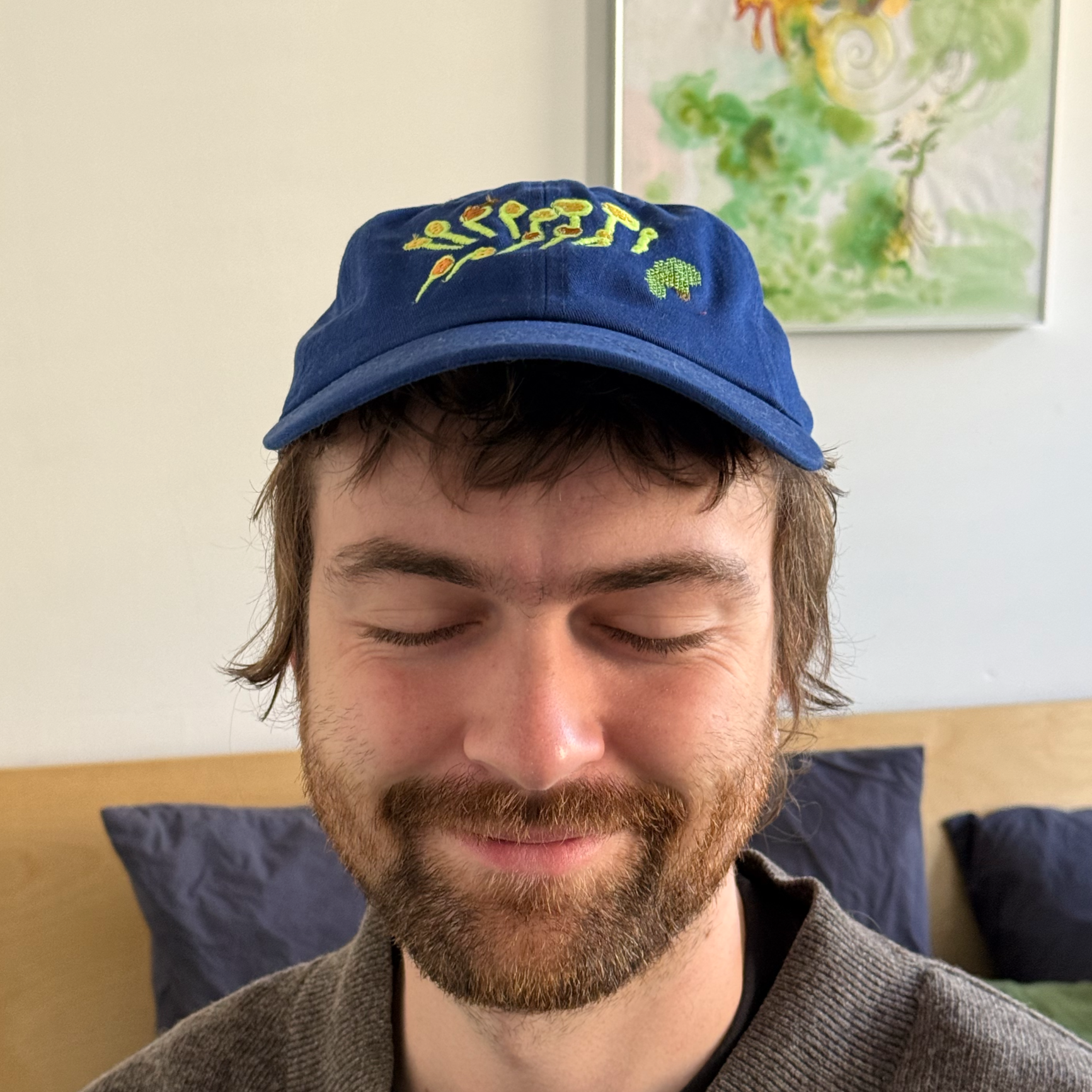A young man with brown hair, a beard, and closed eyes, wearing a gray sweater and a blue cap with embroidered designs, smiling softly inside a room with a white wall, a wooden headboard, and a colorful abstract painting in the background.