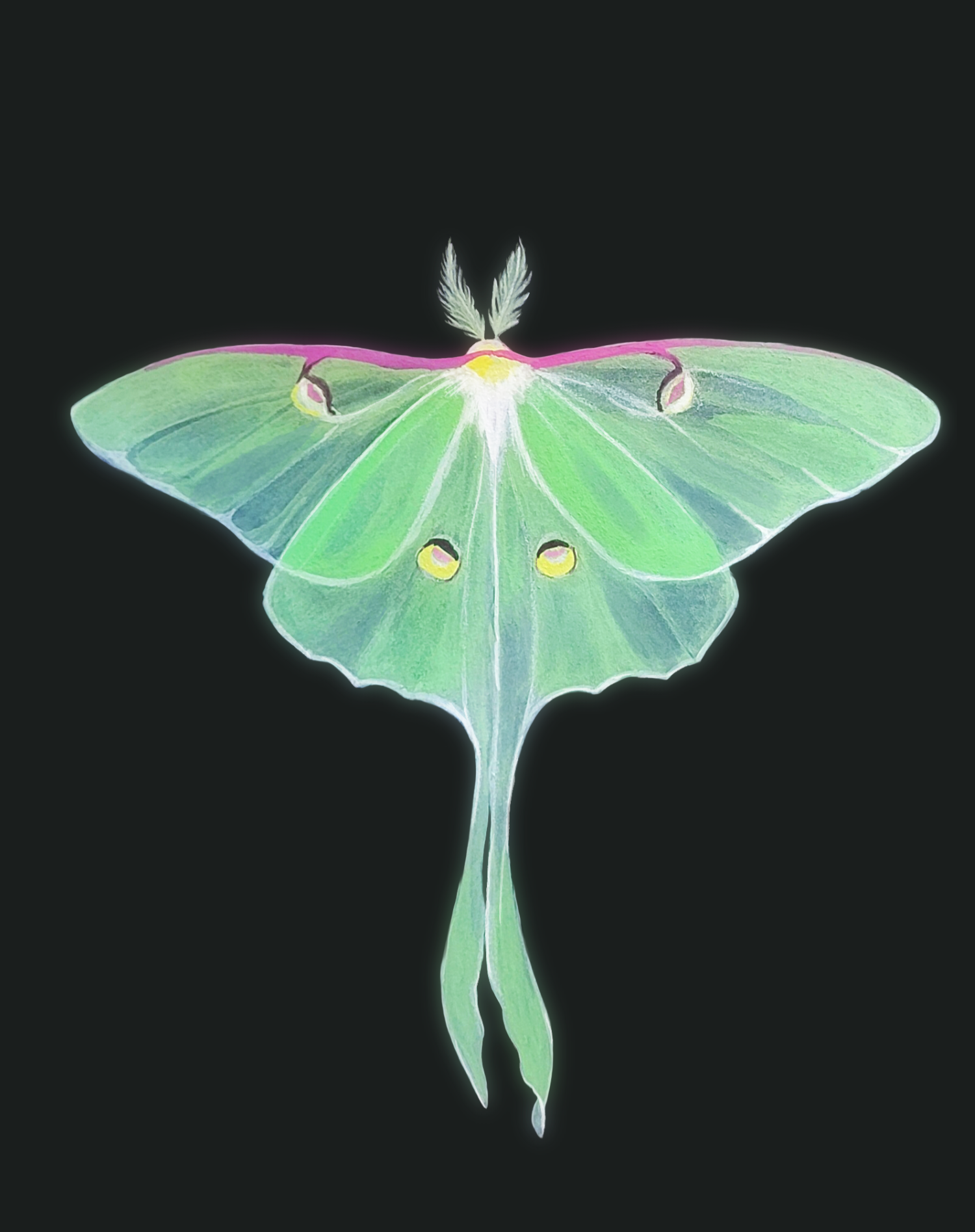 20250120_222157.png