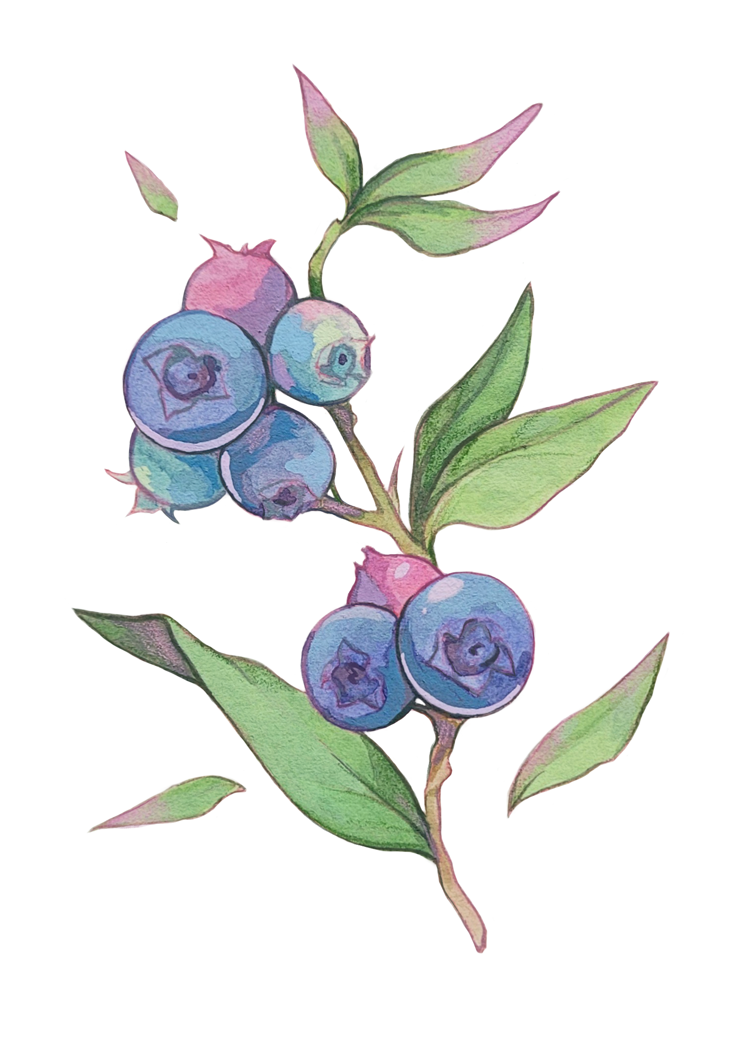 Bloobs print.png