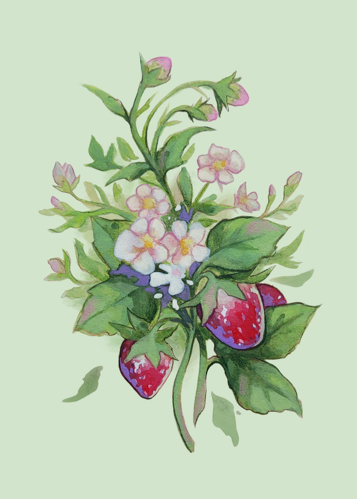 Strawberry piece.png