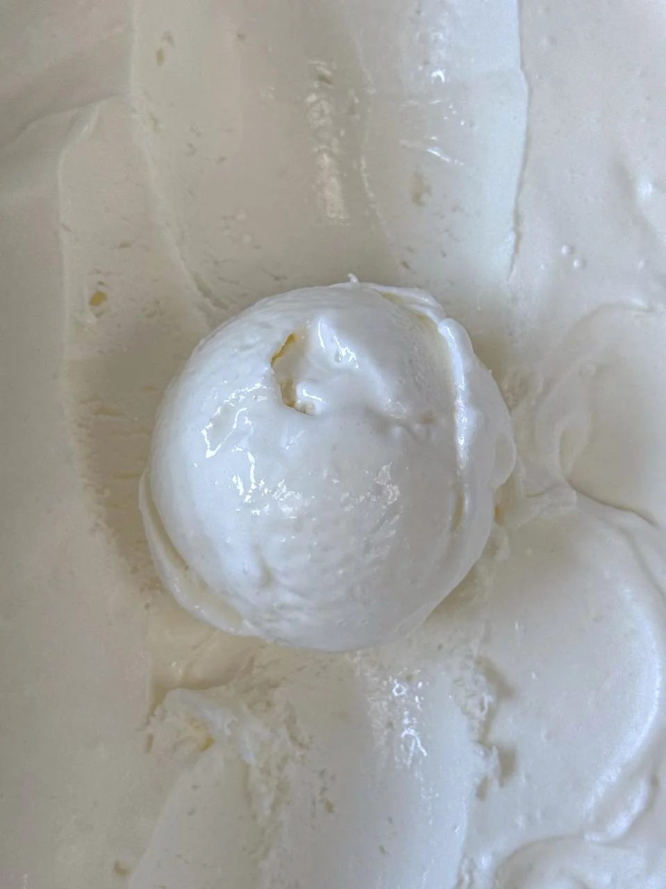 Close up of a white scoop of Coconut ice cream.