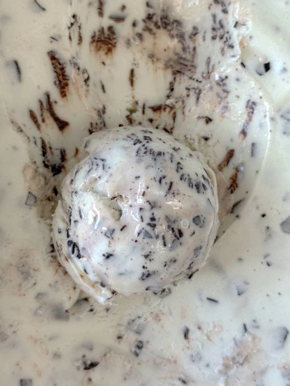 Close up of a white scoop of Mint Chocolate ice cream with shaved chocolate in it. 
