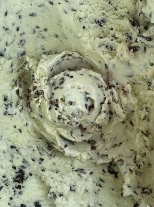 Close up of a white scoop of Mint Chocolate ice cream with shaved chocolate in it.