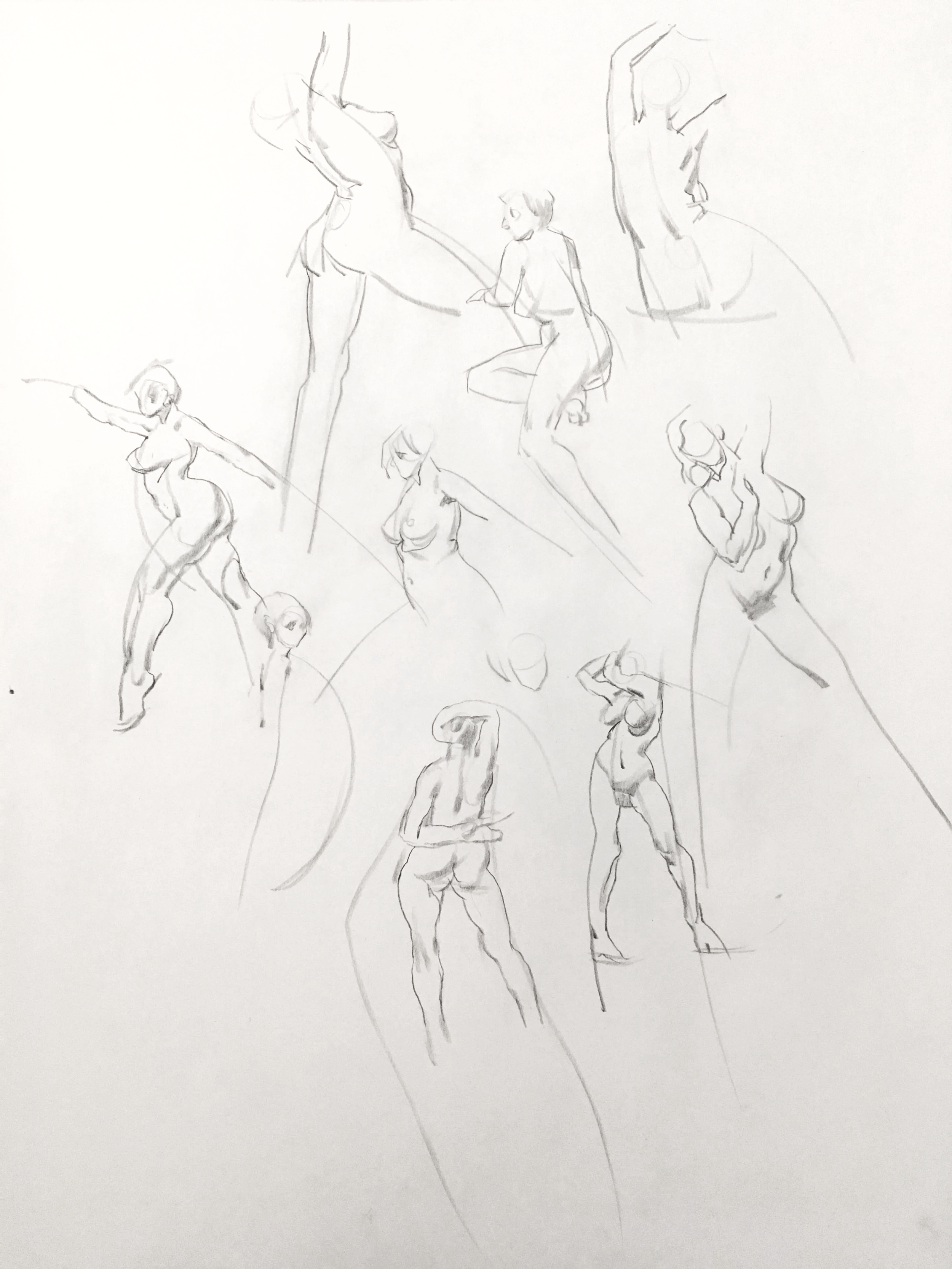 IMG_6995.png